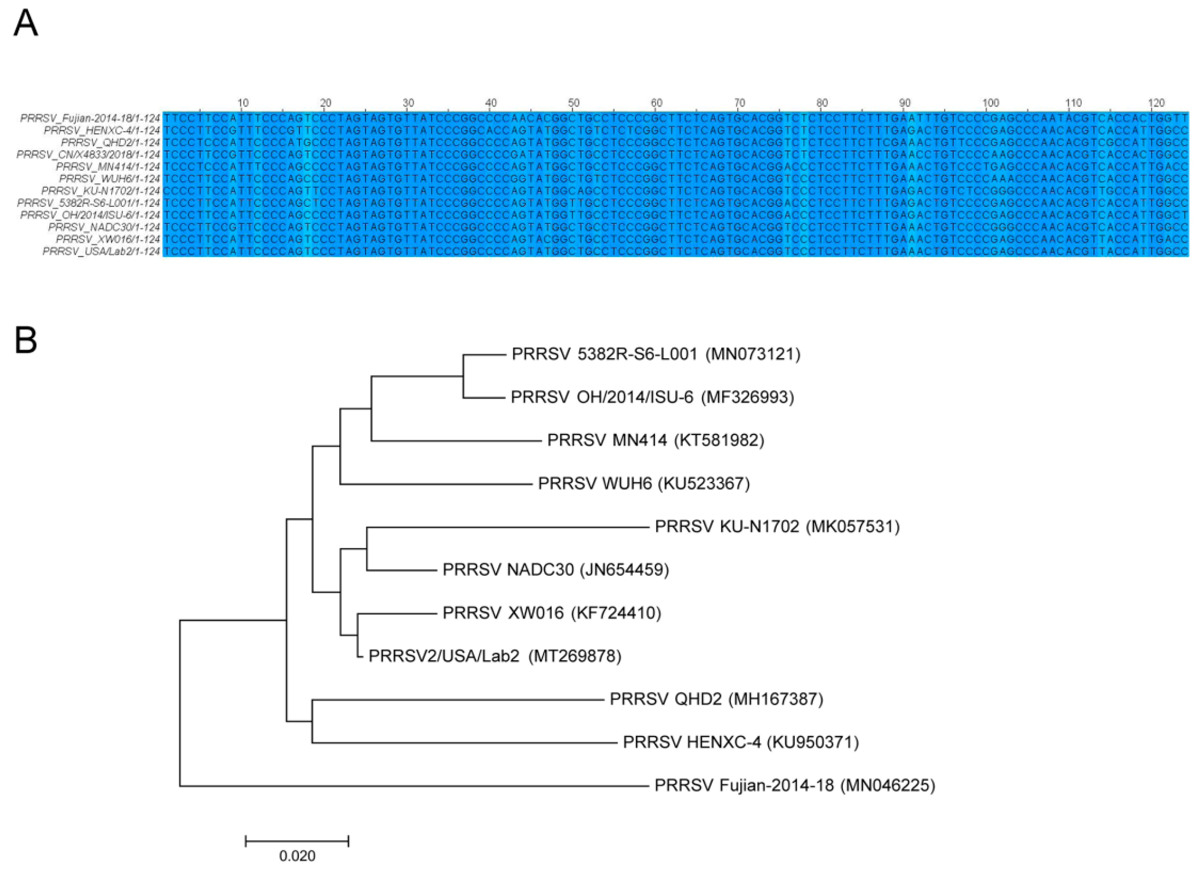 Viruses 16 01350 g002 Viruses 16 01350 g002