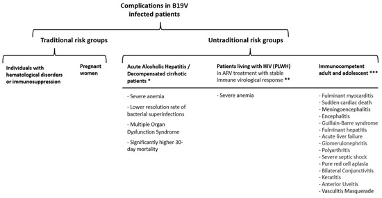 Viruses 16 01352 g005