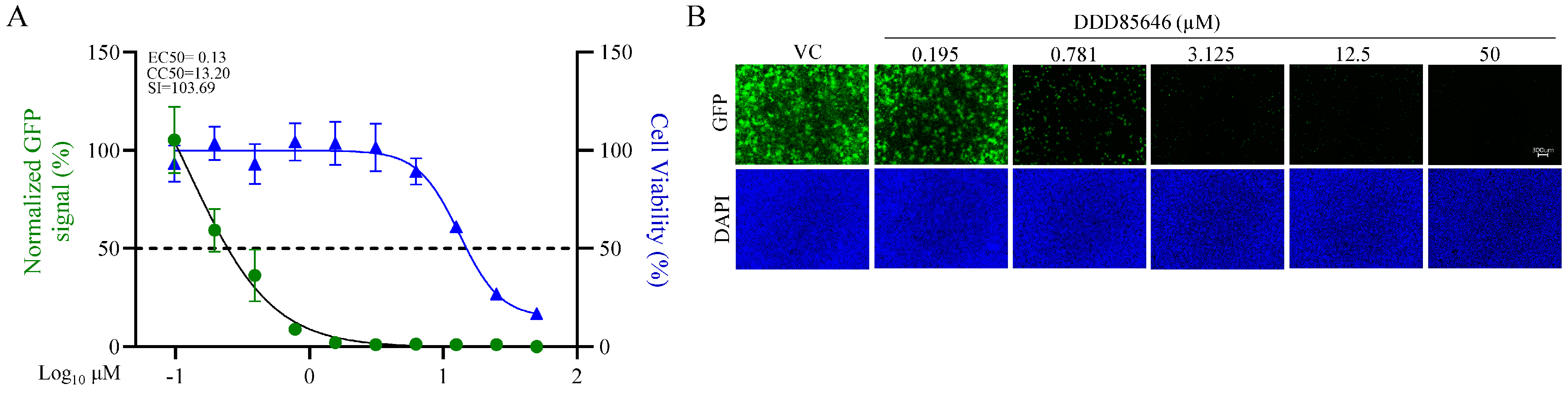 Viruses 16 01362 g001