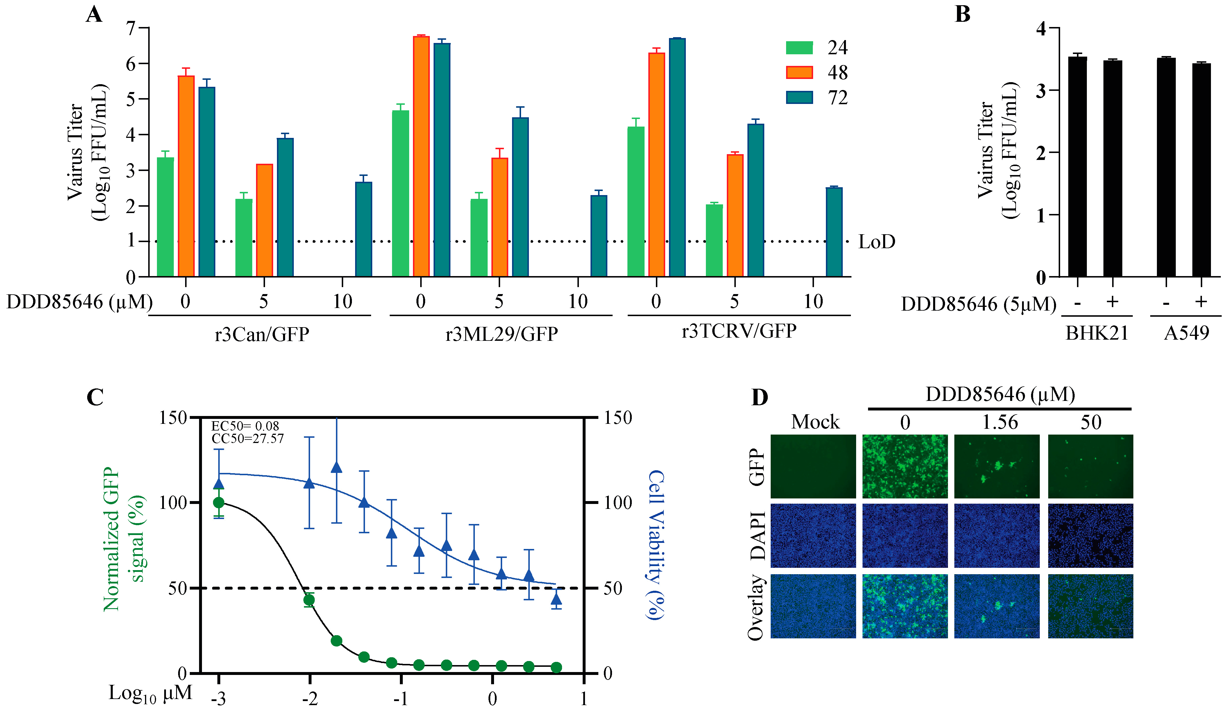Viruses 16 01362 g008