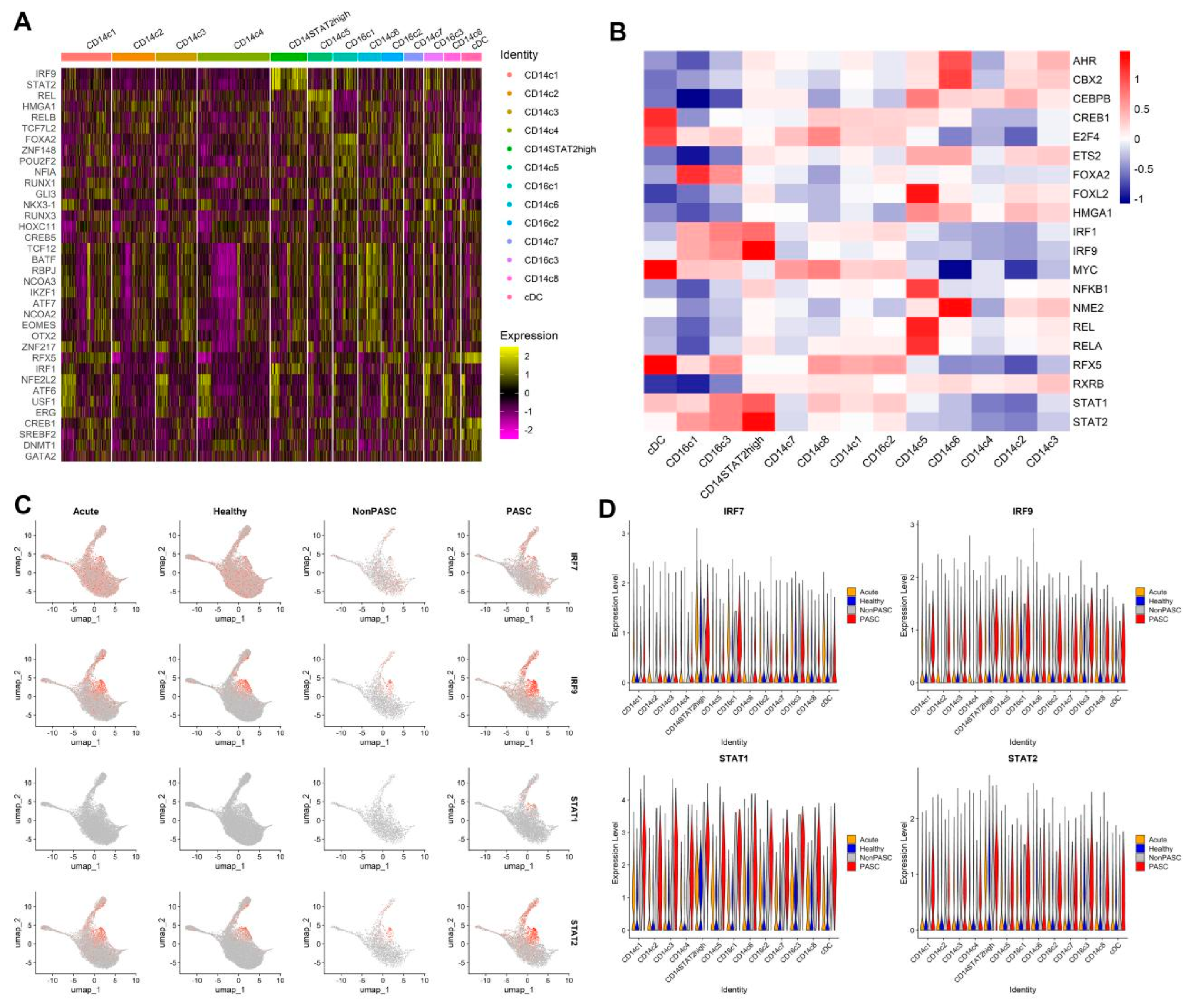 Viruses 16 01369 g003