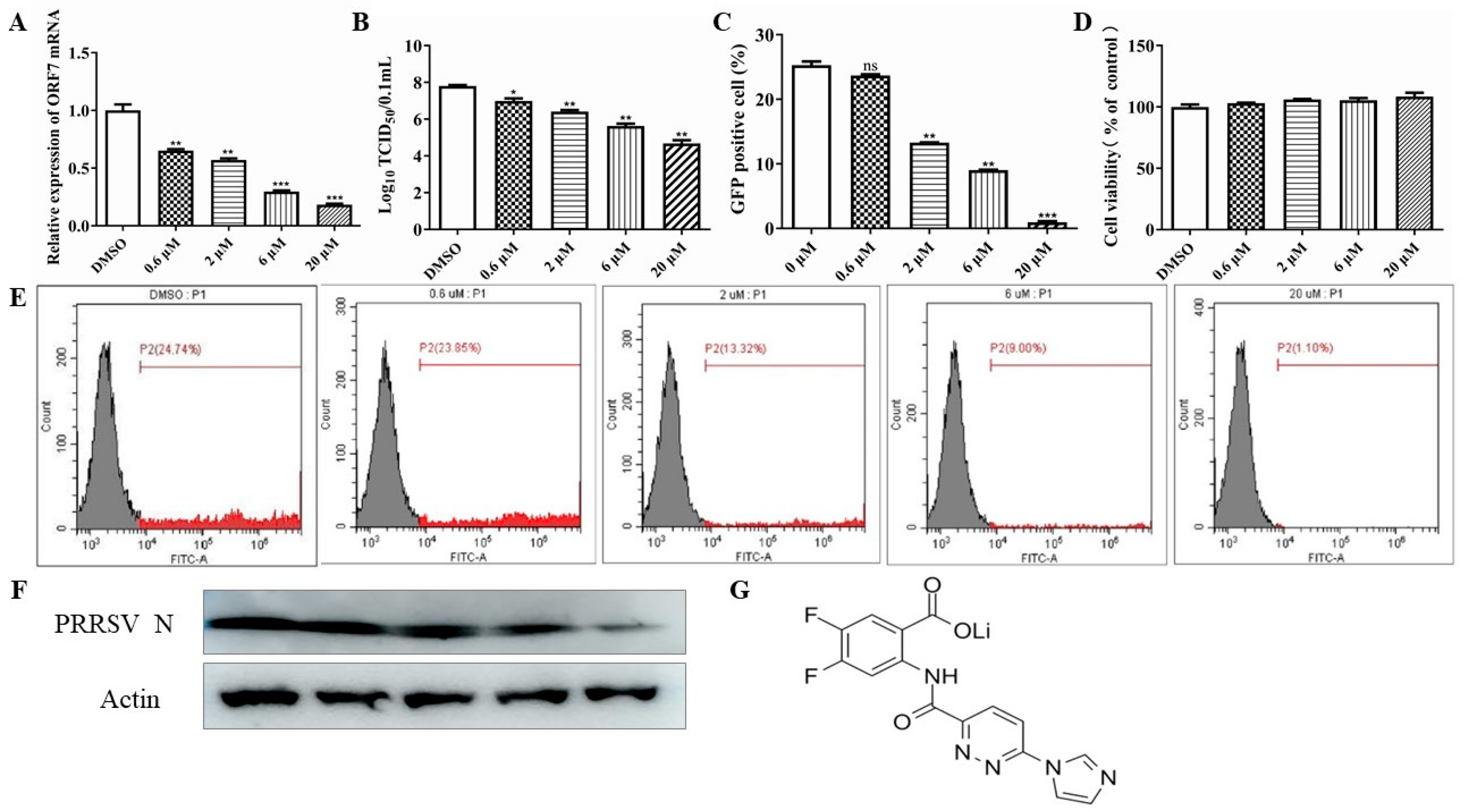 Viruses 16 01373 g001