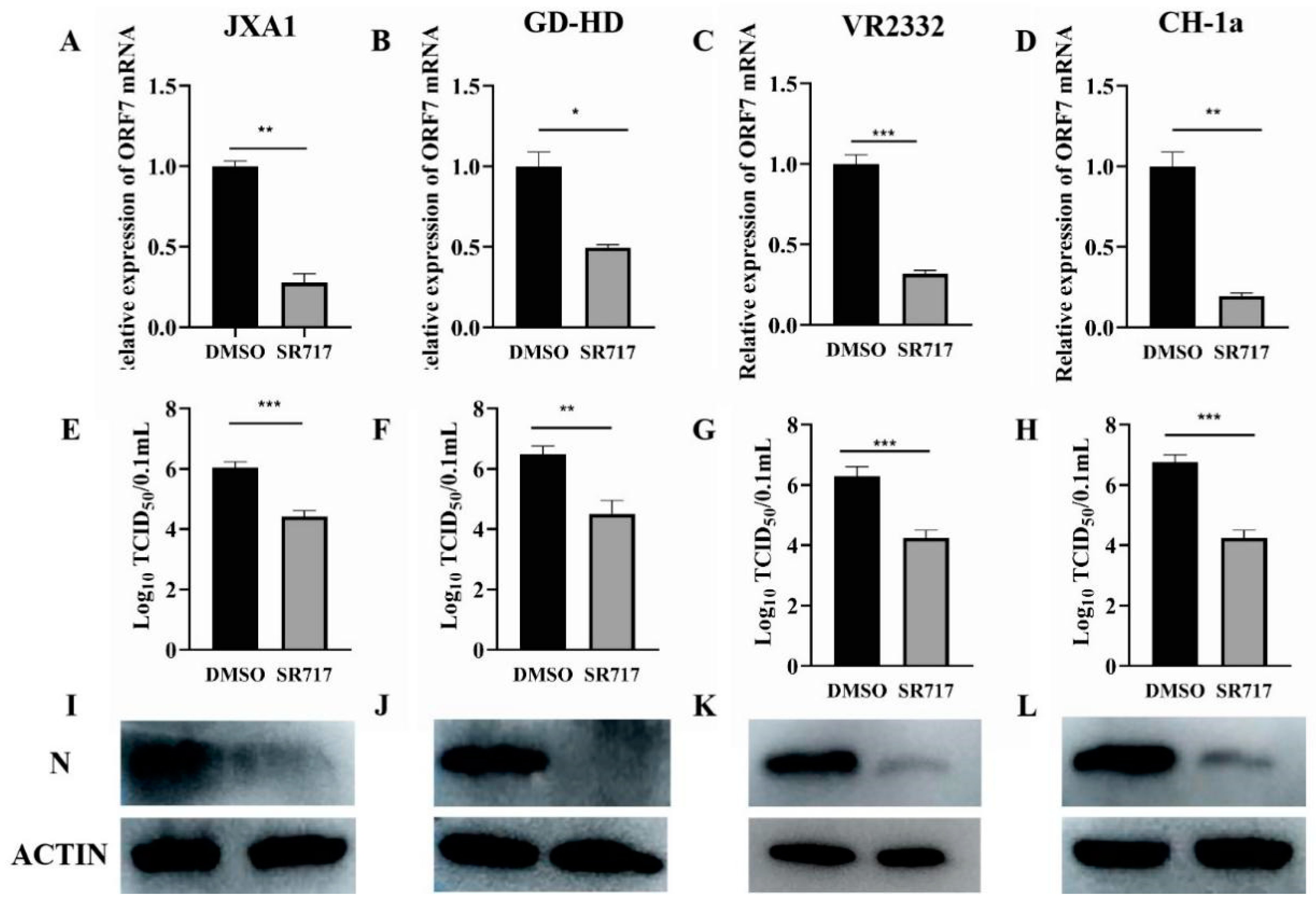 Viruses 16 01373 g002