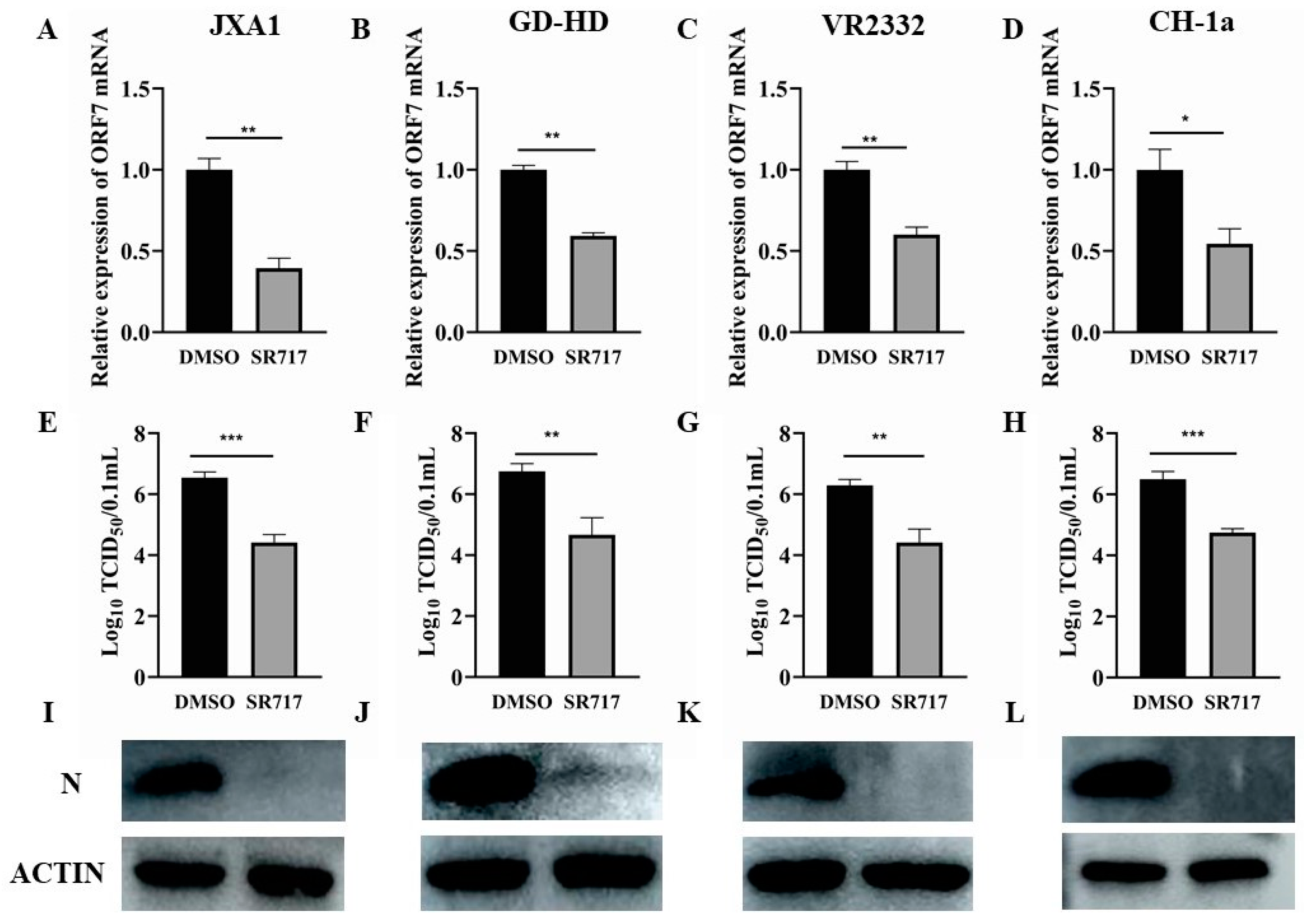 Viruses 16 01373 g003