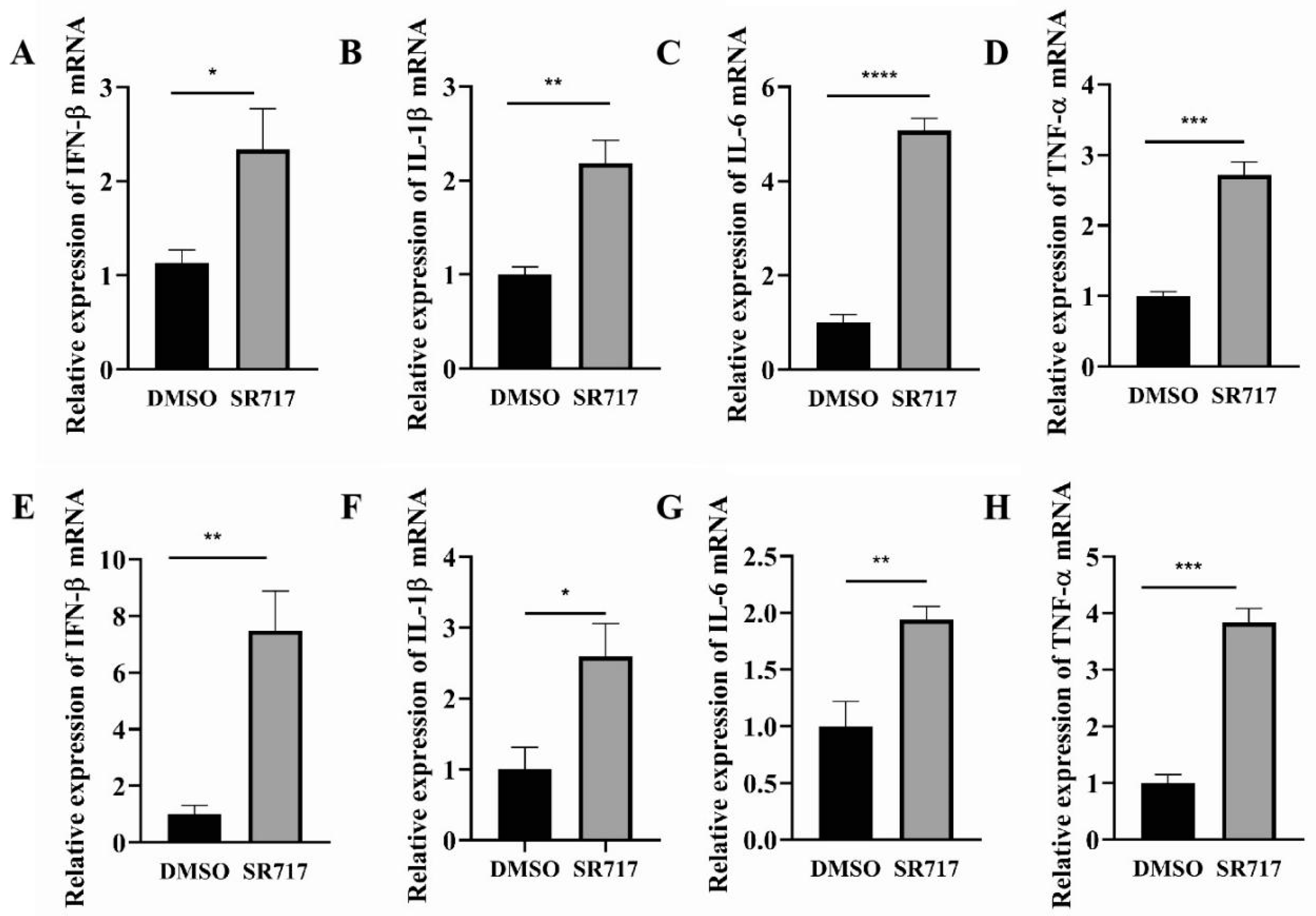 Viruses 16 01373 g005