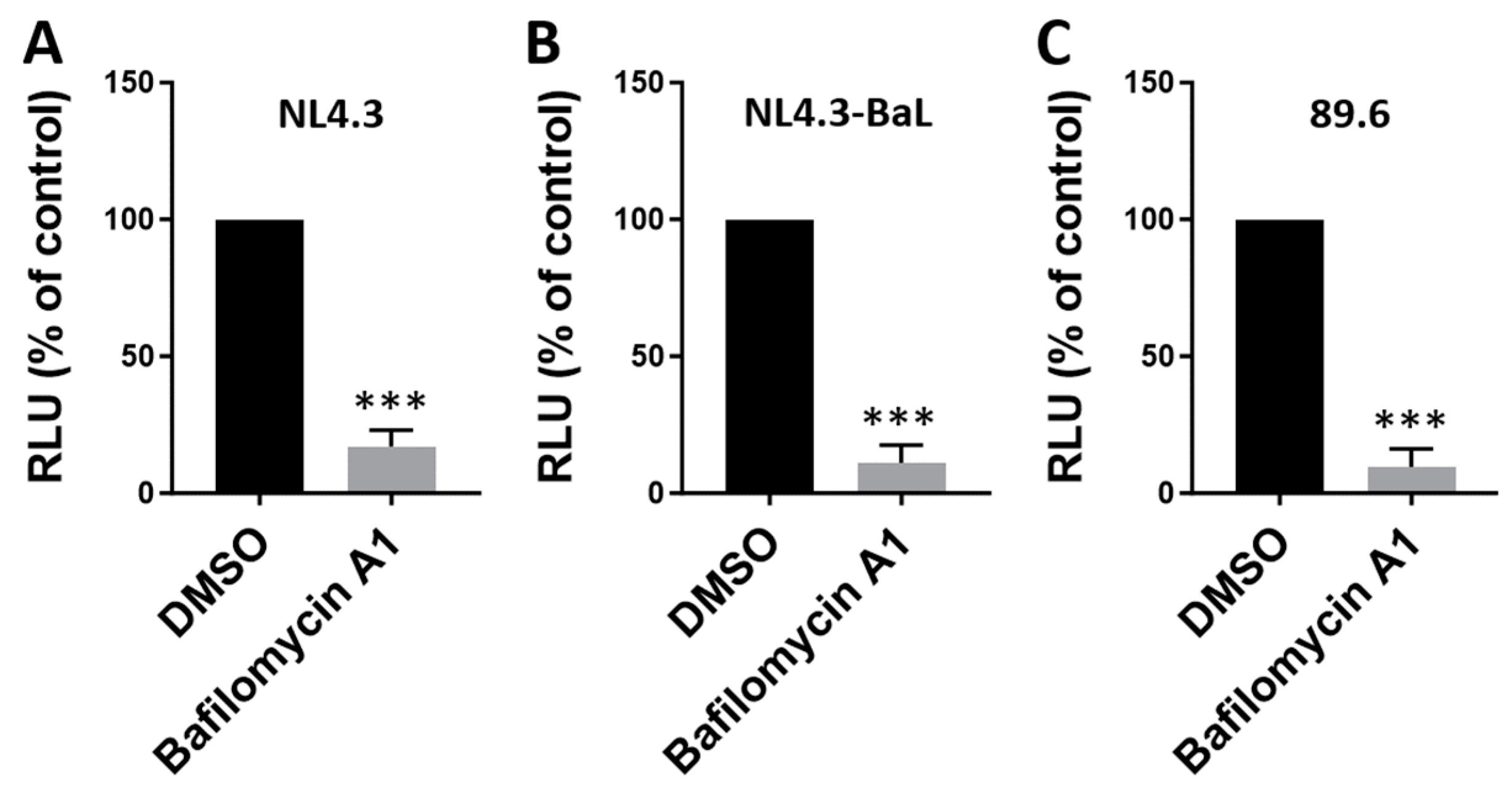 Viruses 16 01374 g003