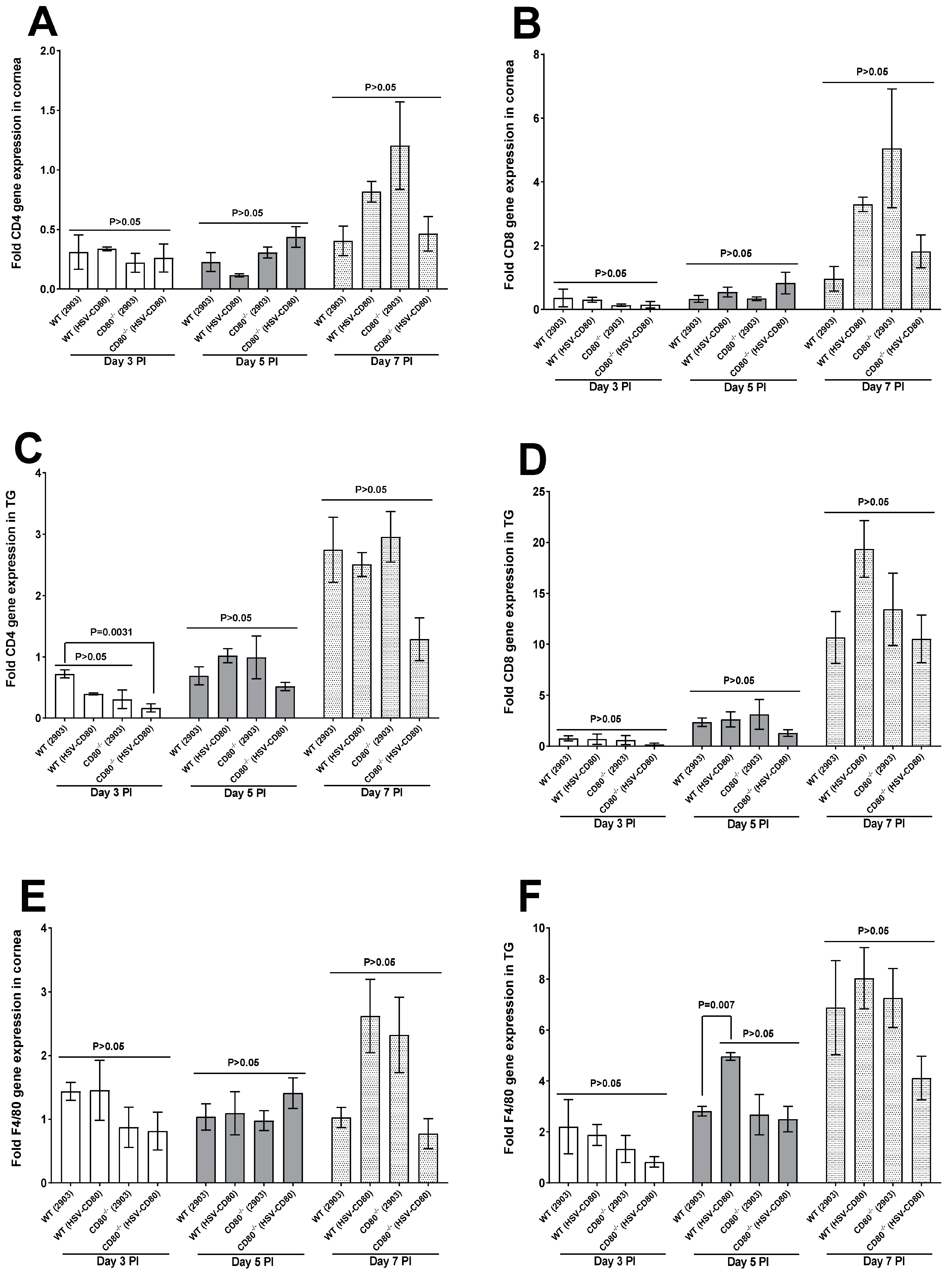 Viruses 16 01379 g003