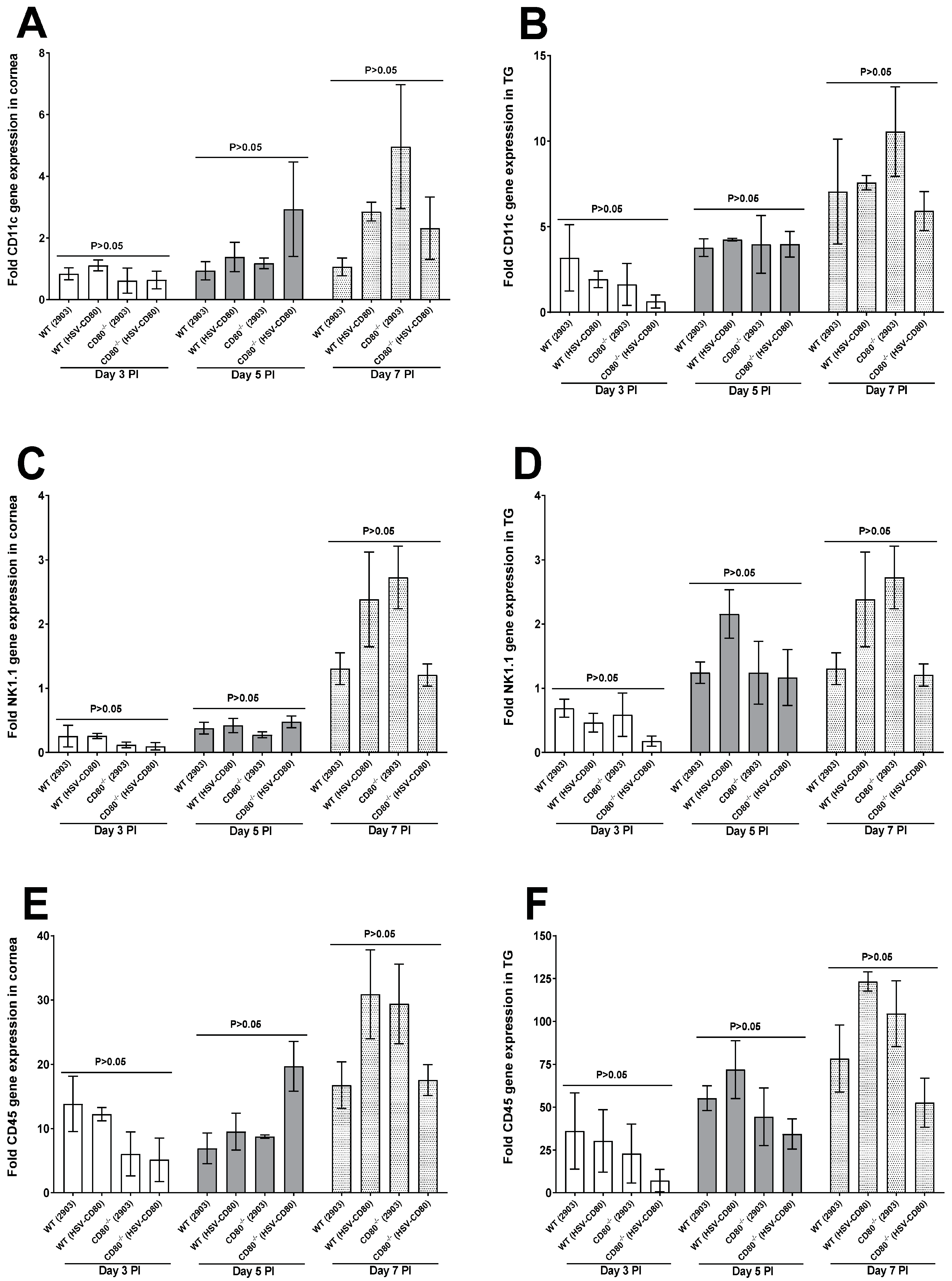 Viruses 16 01379 g004