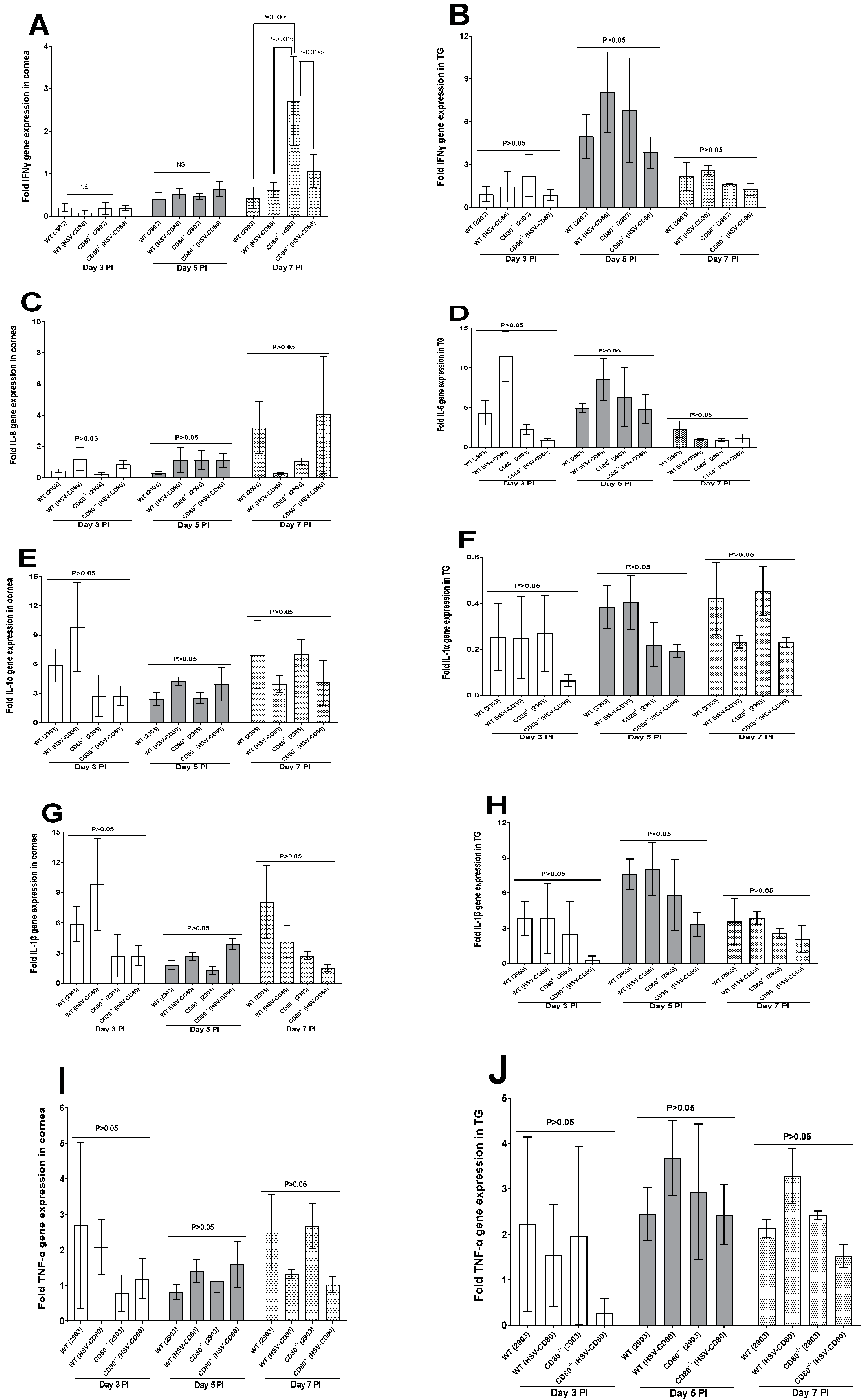 Viruses 16 01379 g005