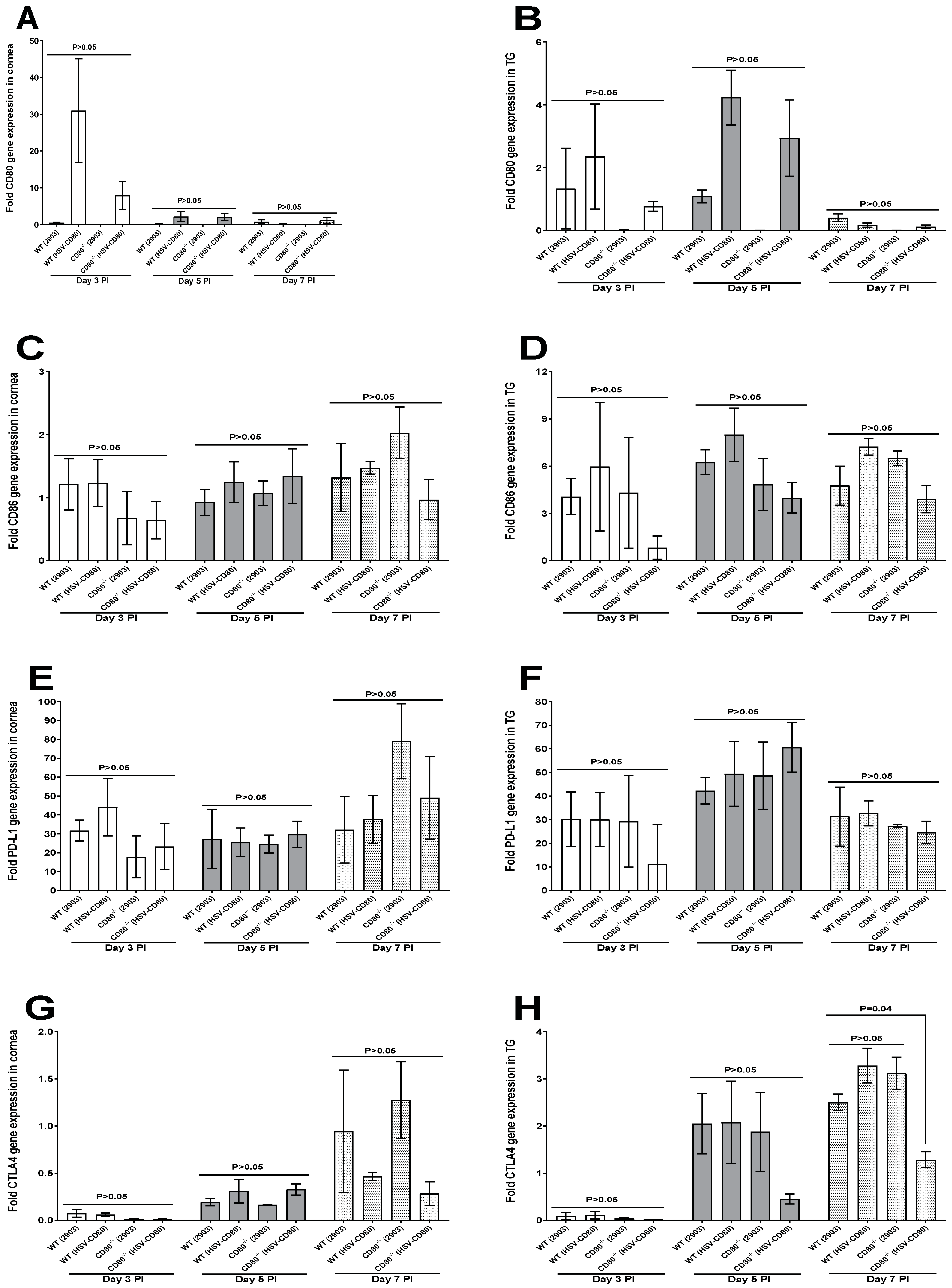 Viruses 16 01379 g006