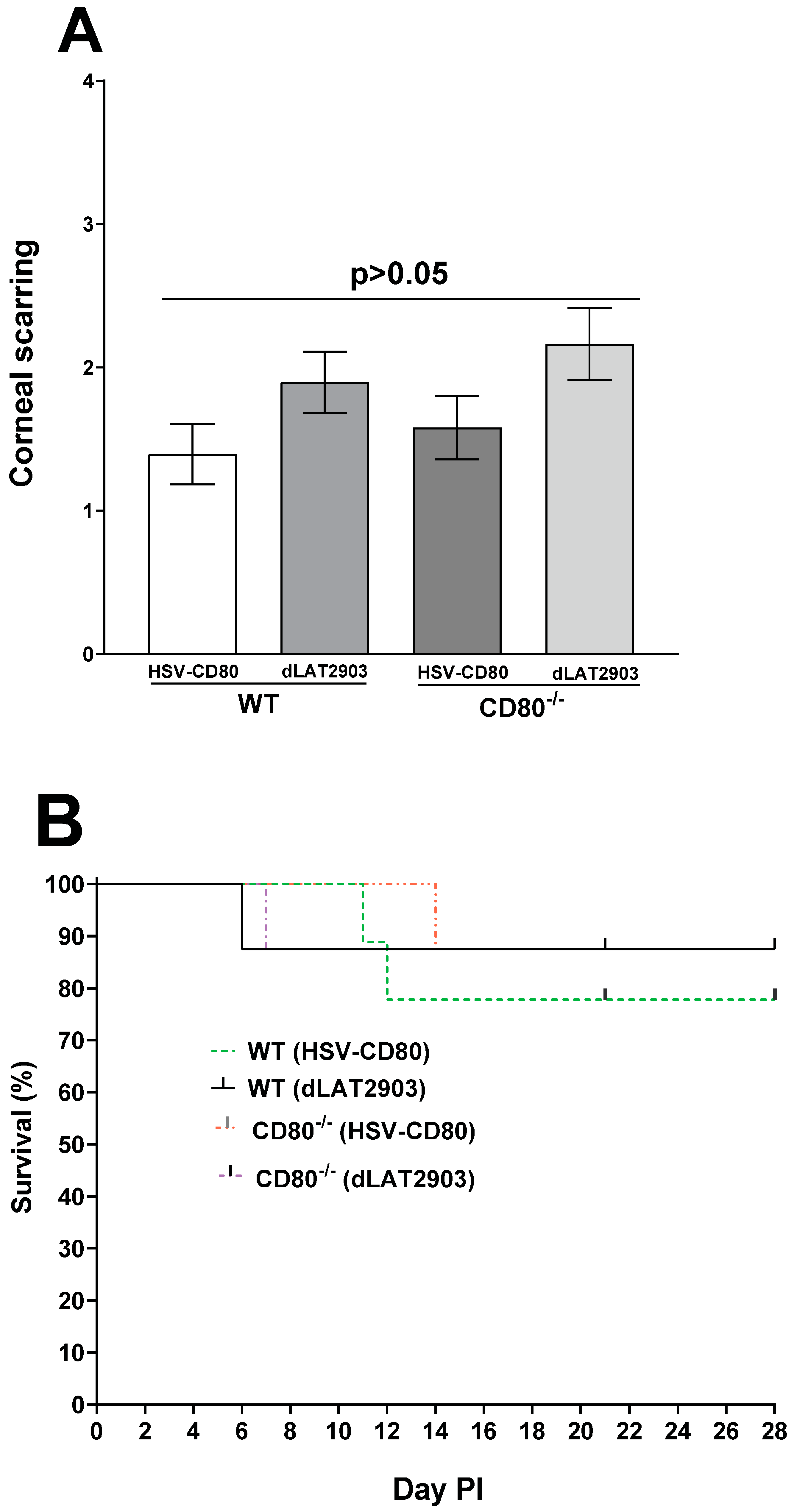 Viruses 16 01379 g008
