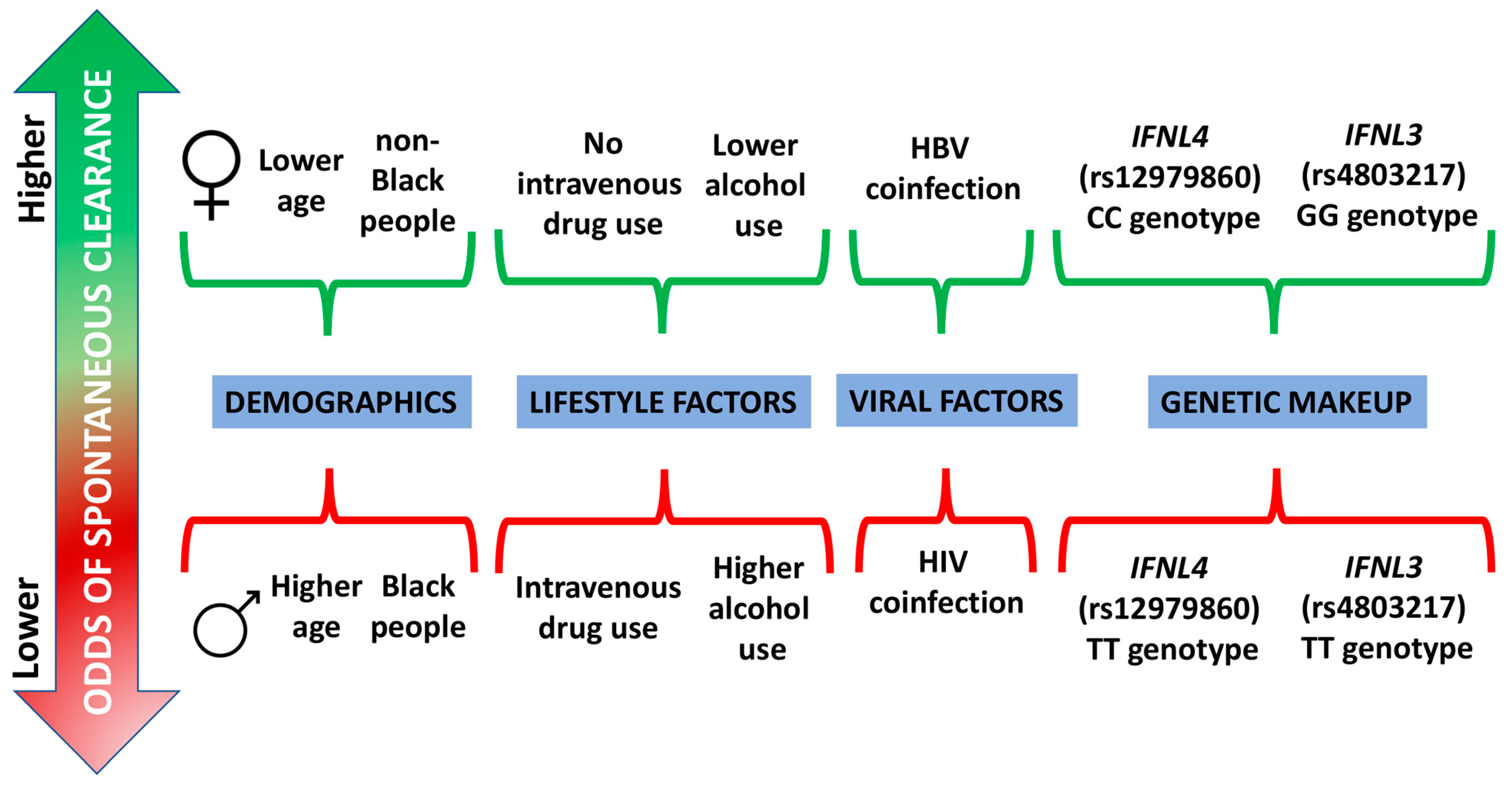 Viruses 16 01386 g001 Viruses 16 01386 g001