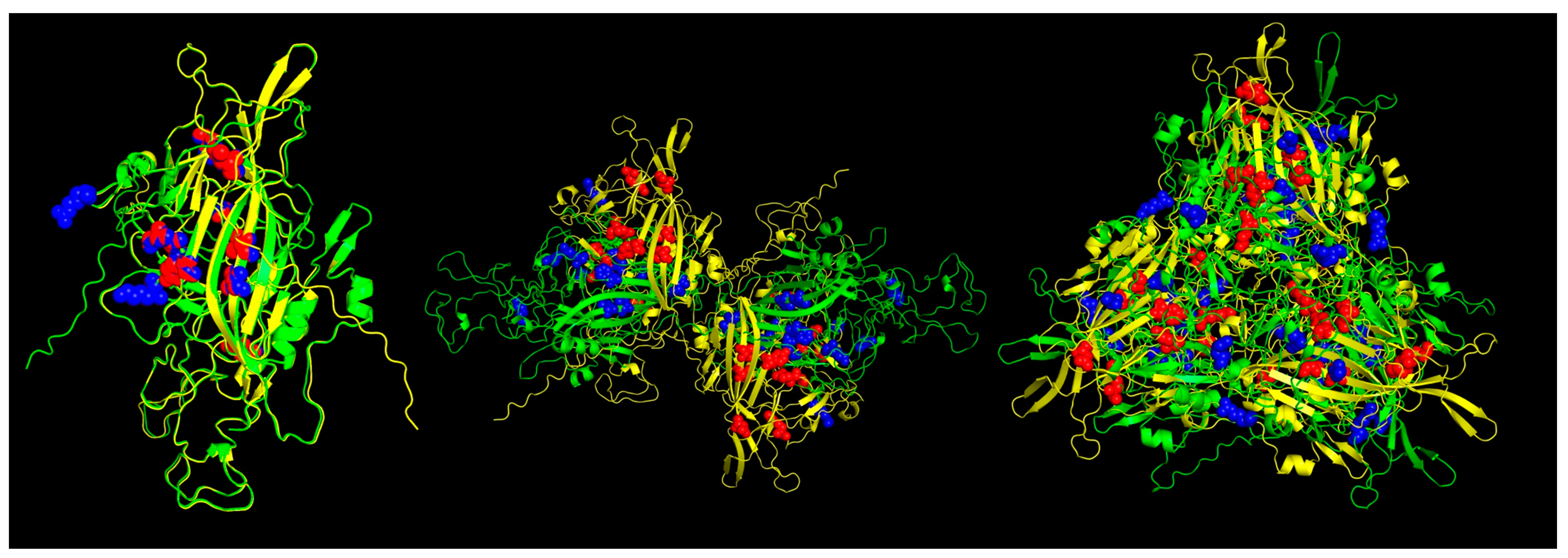 Viruses 16 01389 g005