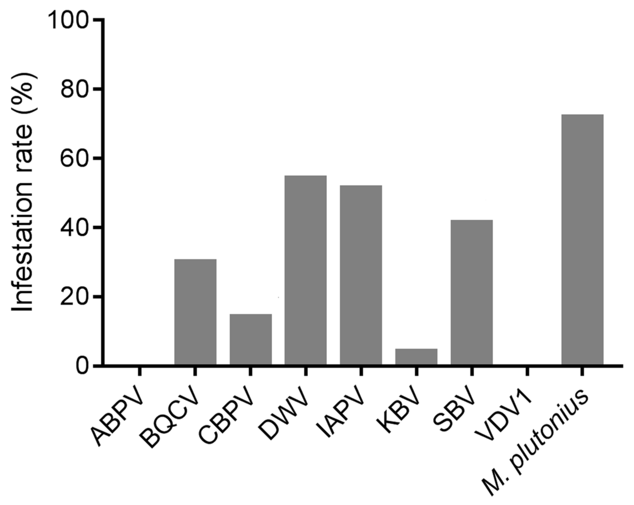 Viruses 16 01395 g001