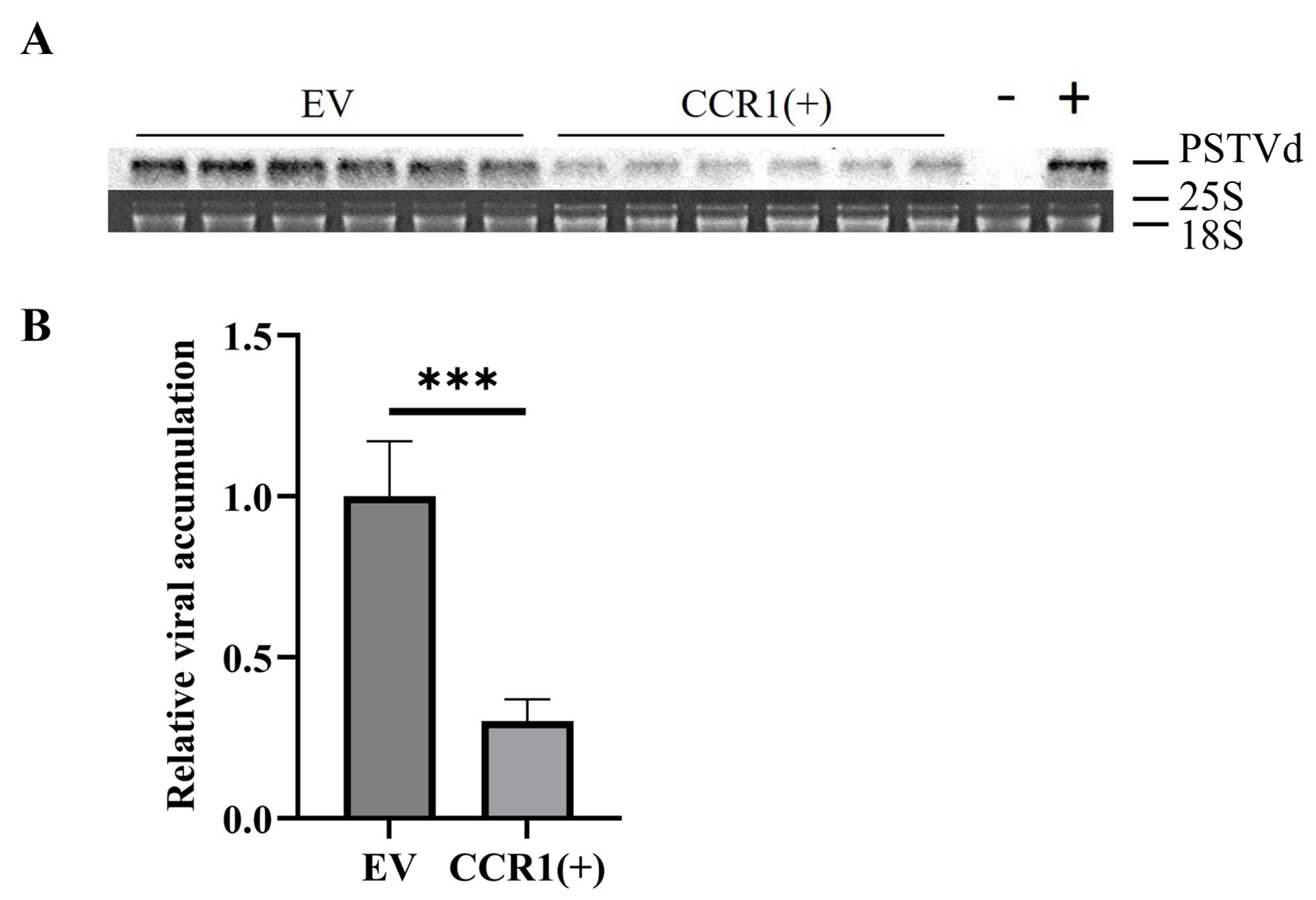 Viruses 16 01401 g001