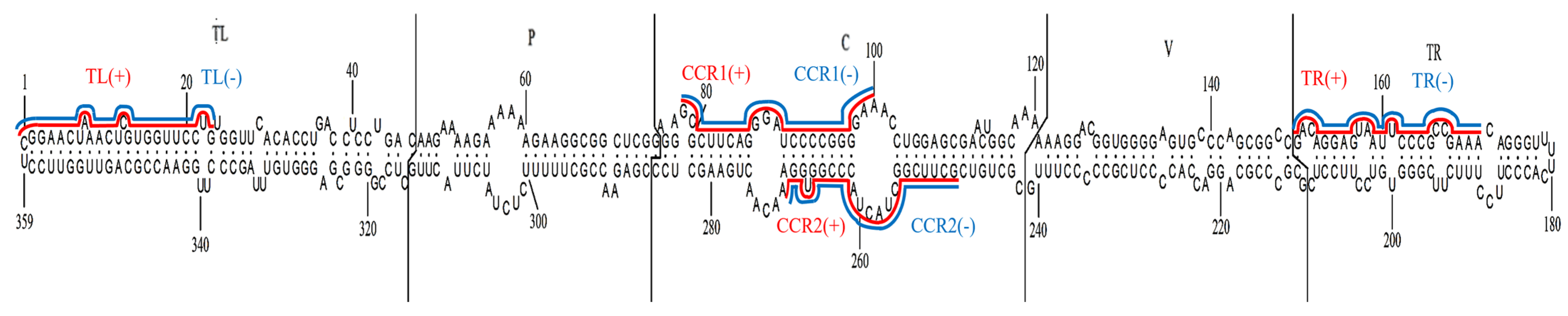 Viruses 16 01401 g002