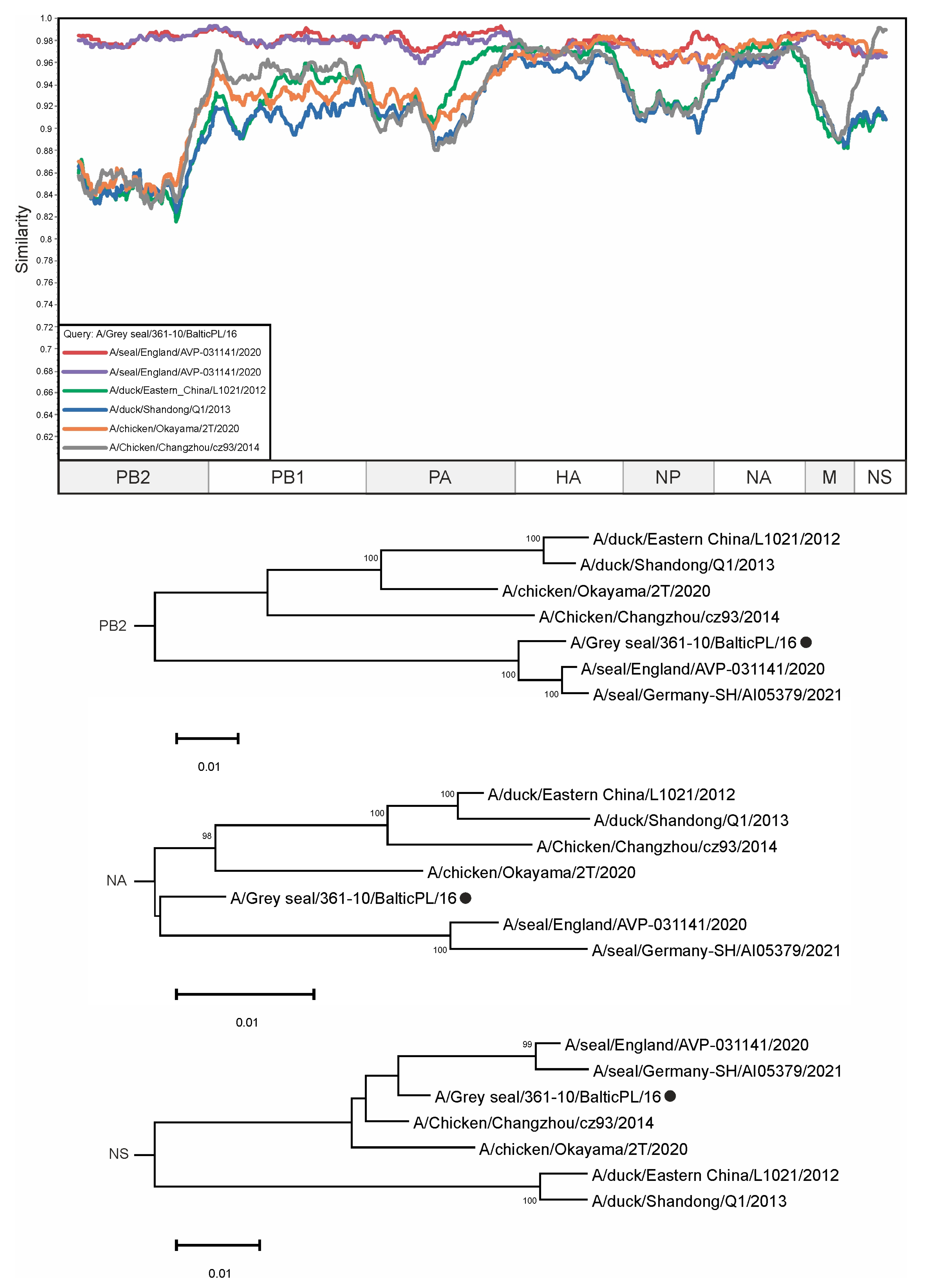 Viruses 16 01405 g006