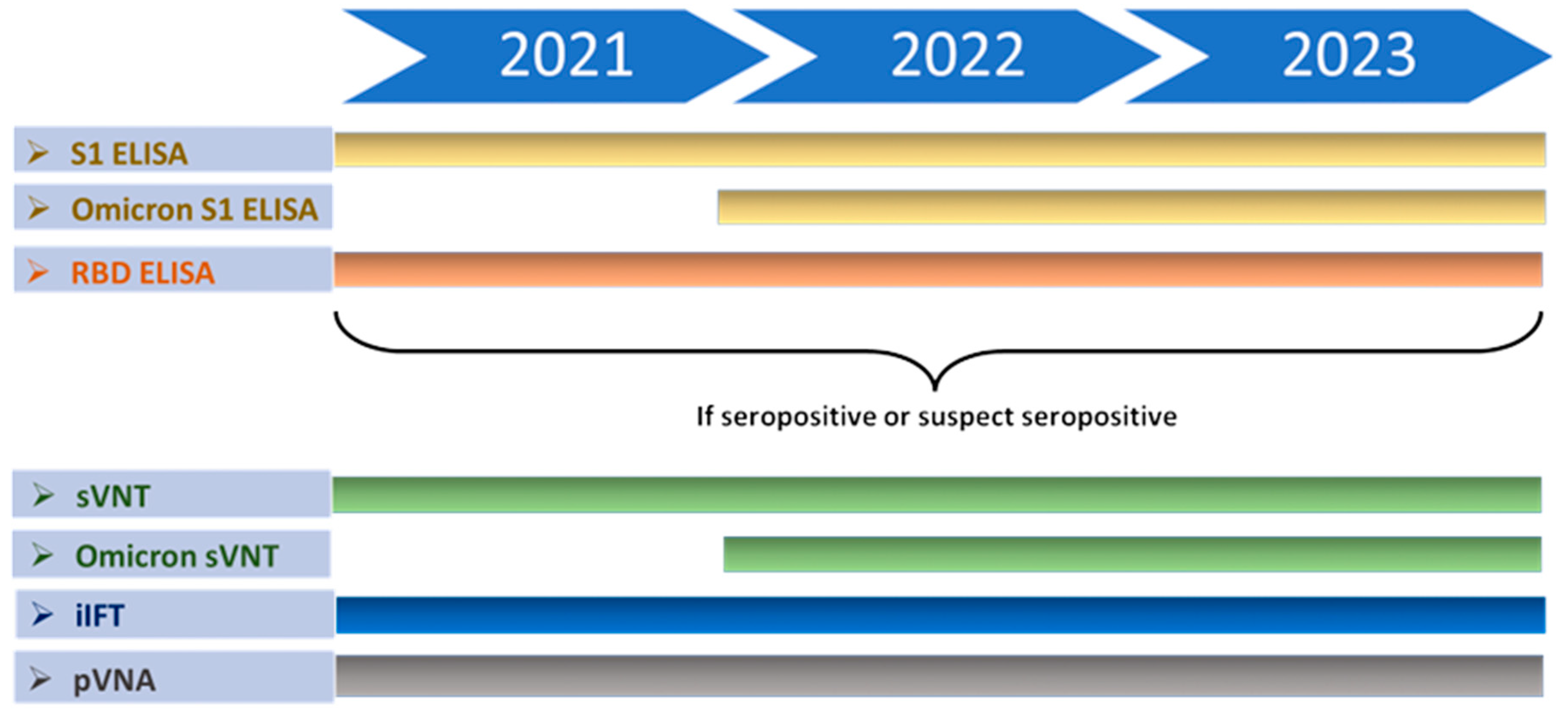 Viruses 16 01407 g002