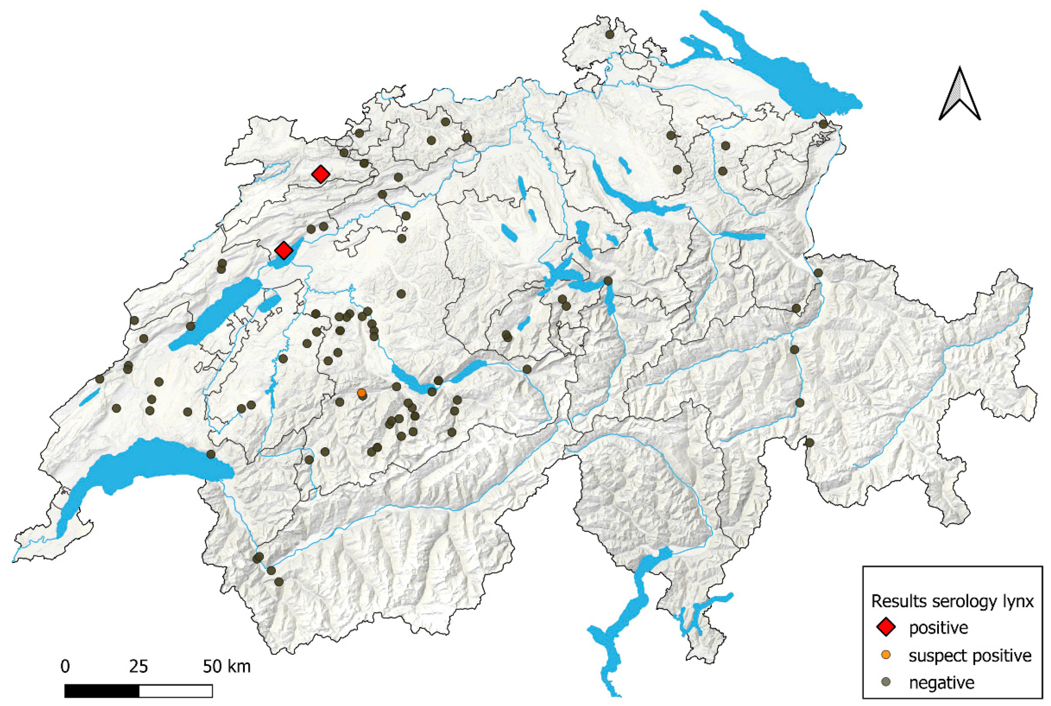 Viruses 16 01407 g006