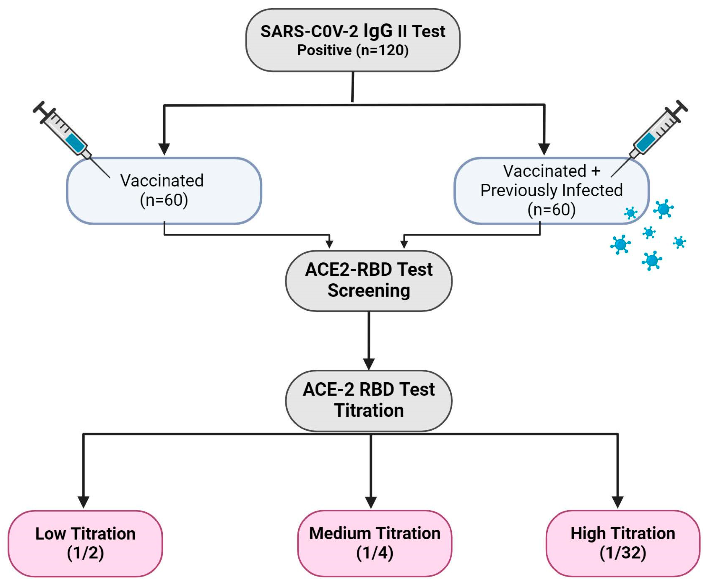 Viruses 16 01409 g001