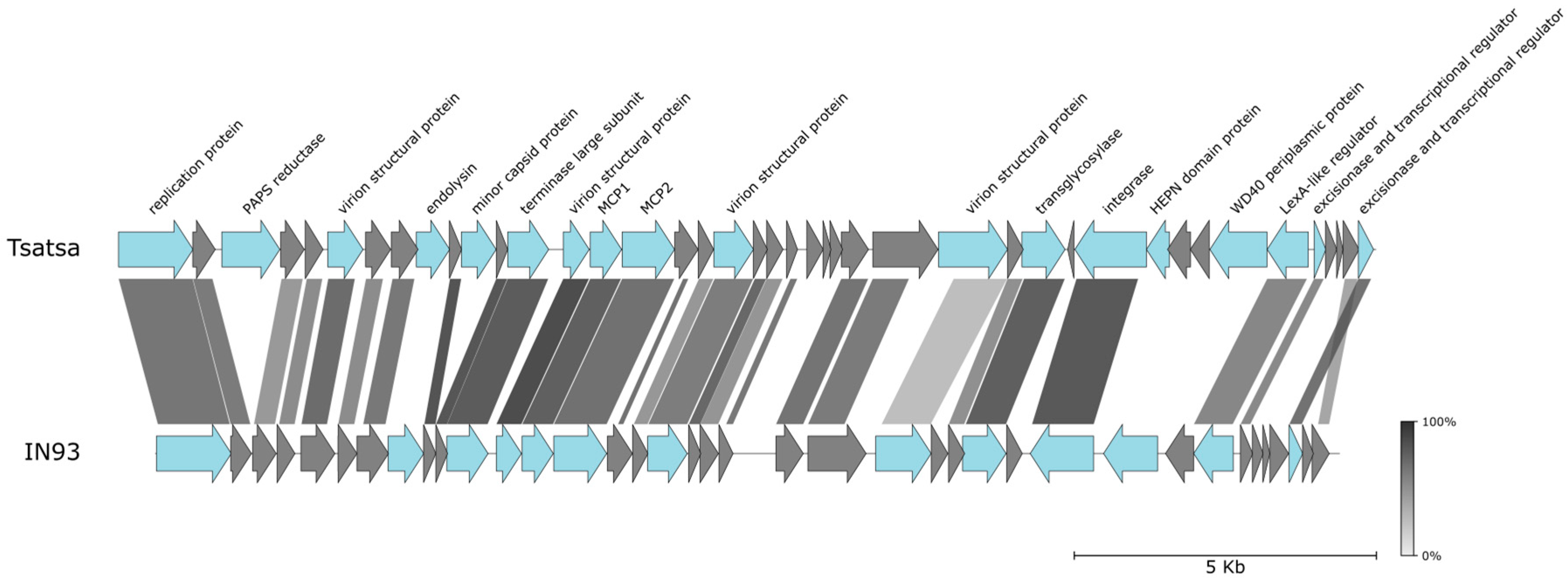 Viruses 16 01410 g005