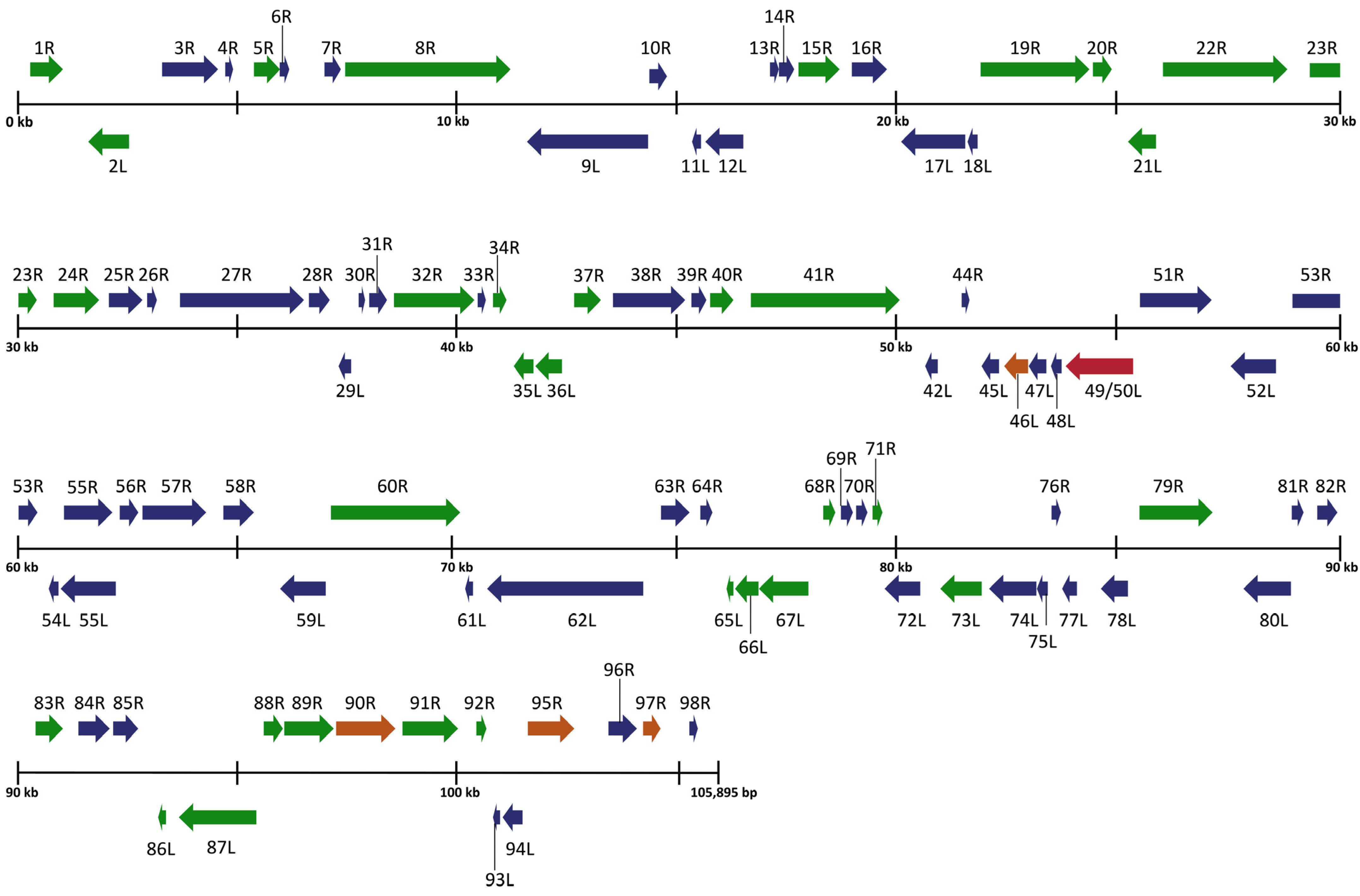 Viruses 16 01411 g002