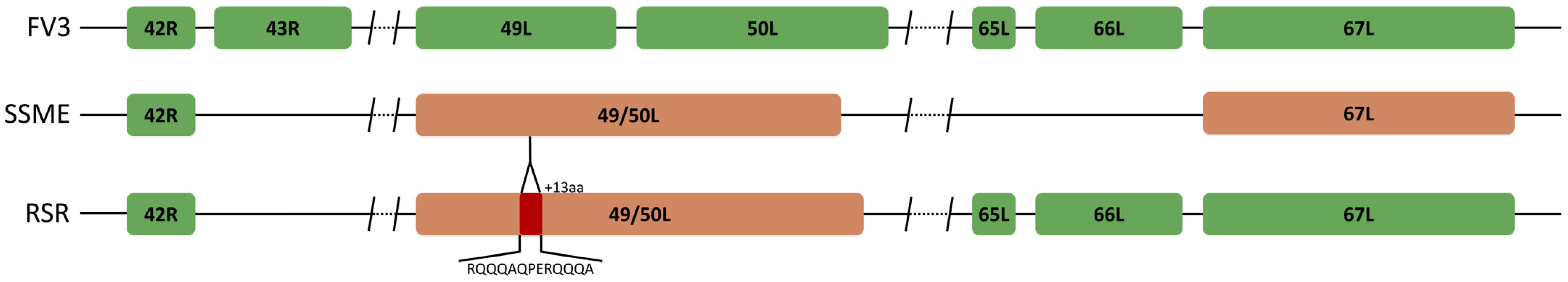 Viruses 16 01411 g003