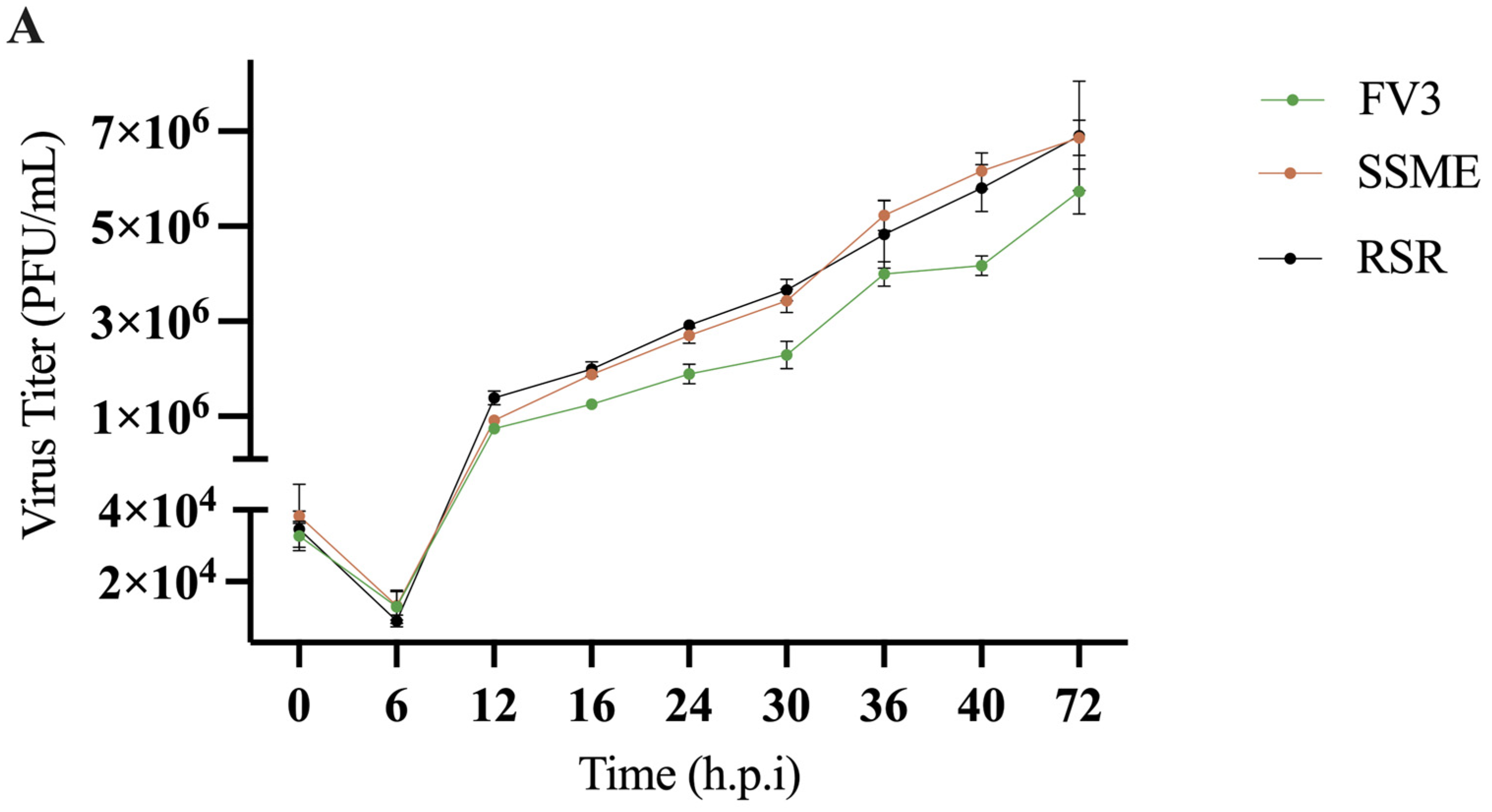 Viruses 16 01411 g004a