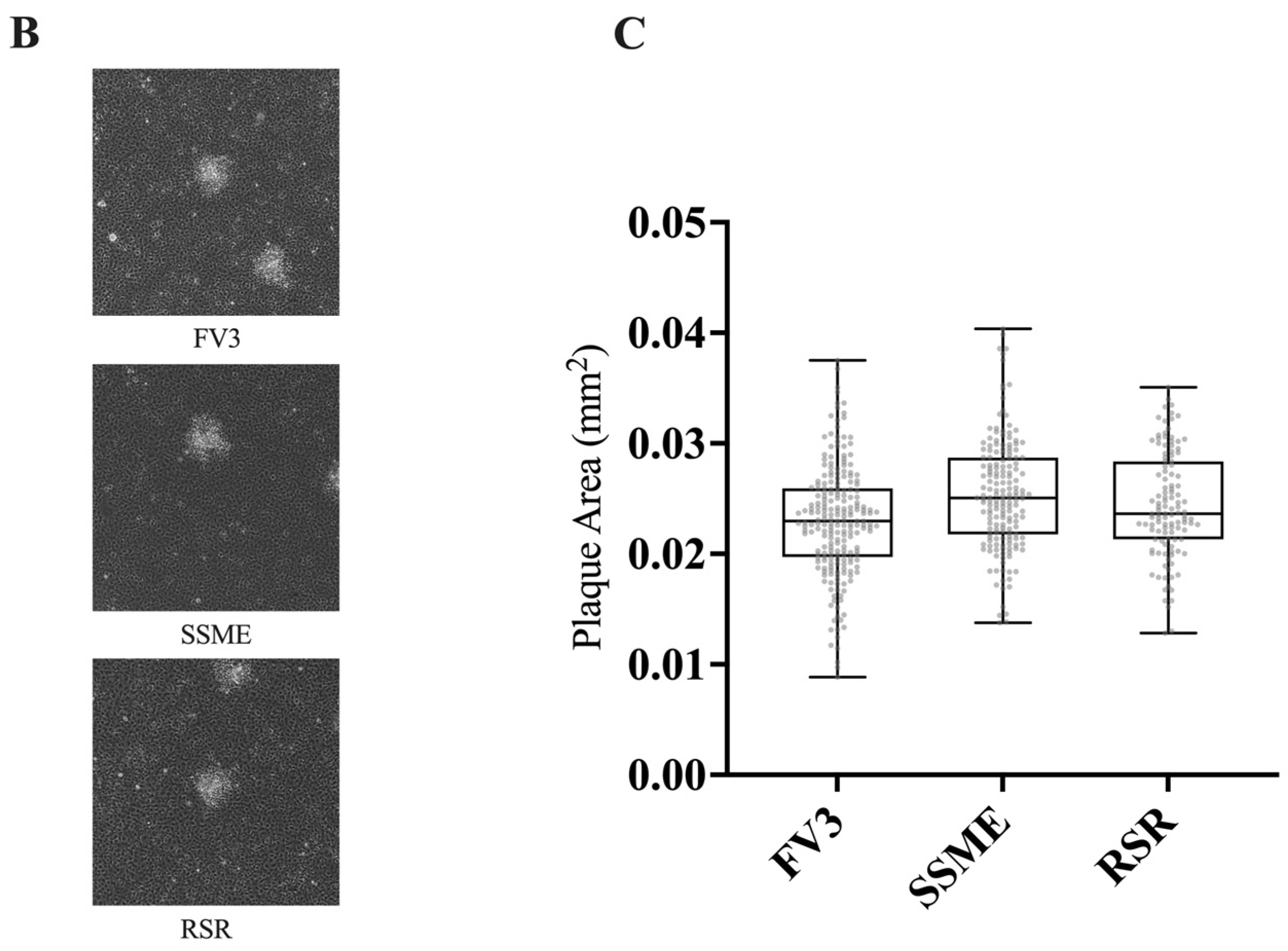 Viruses 16 01411 g004b