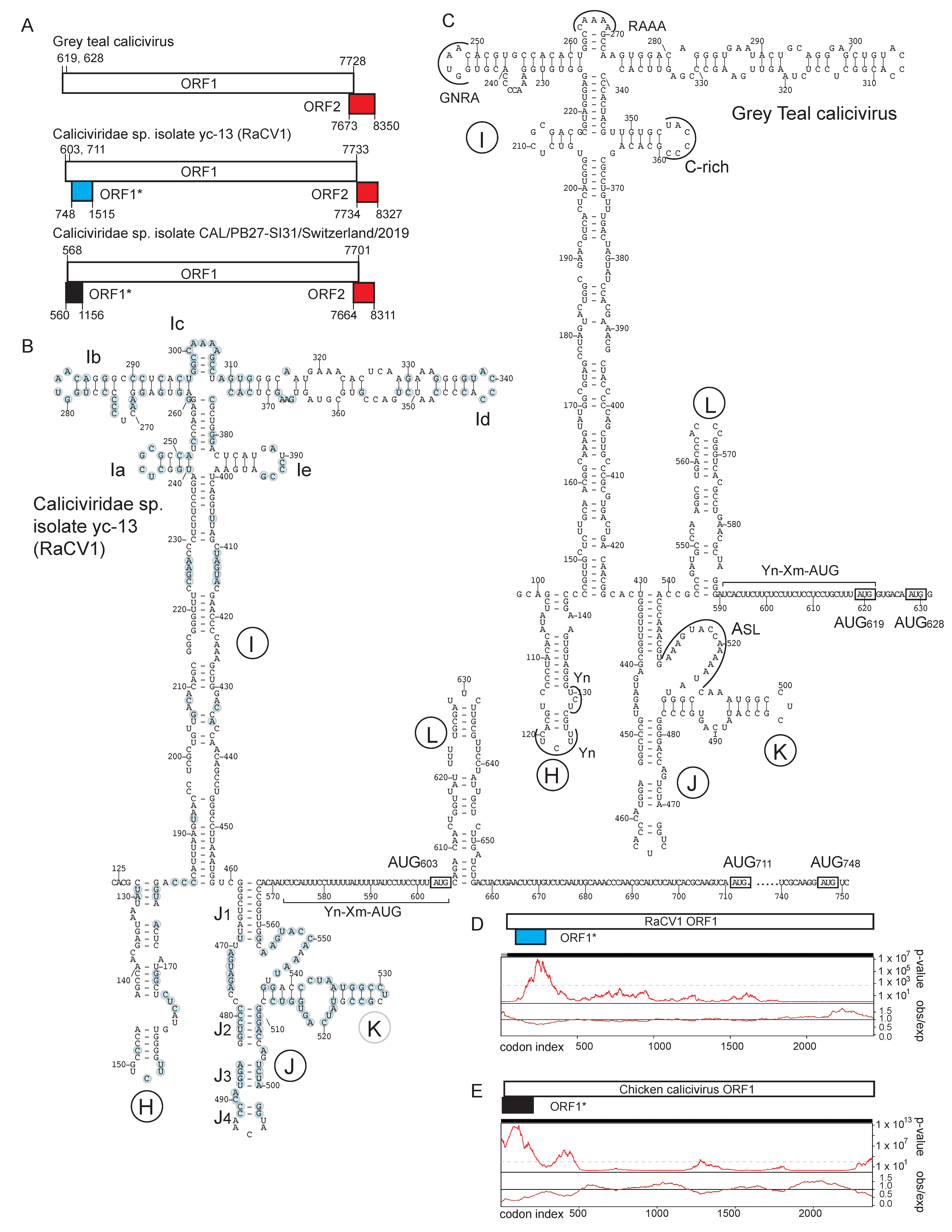 Viruses 16 01413 g001