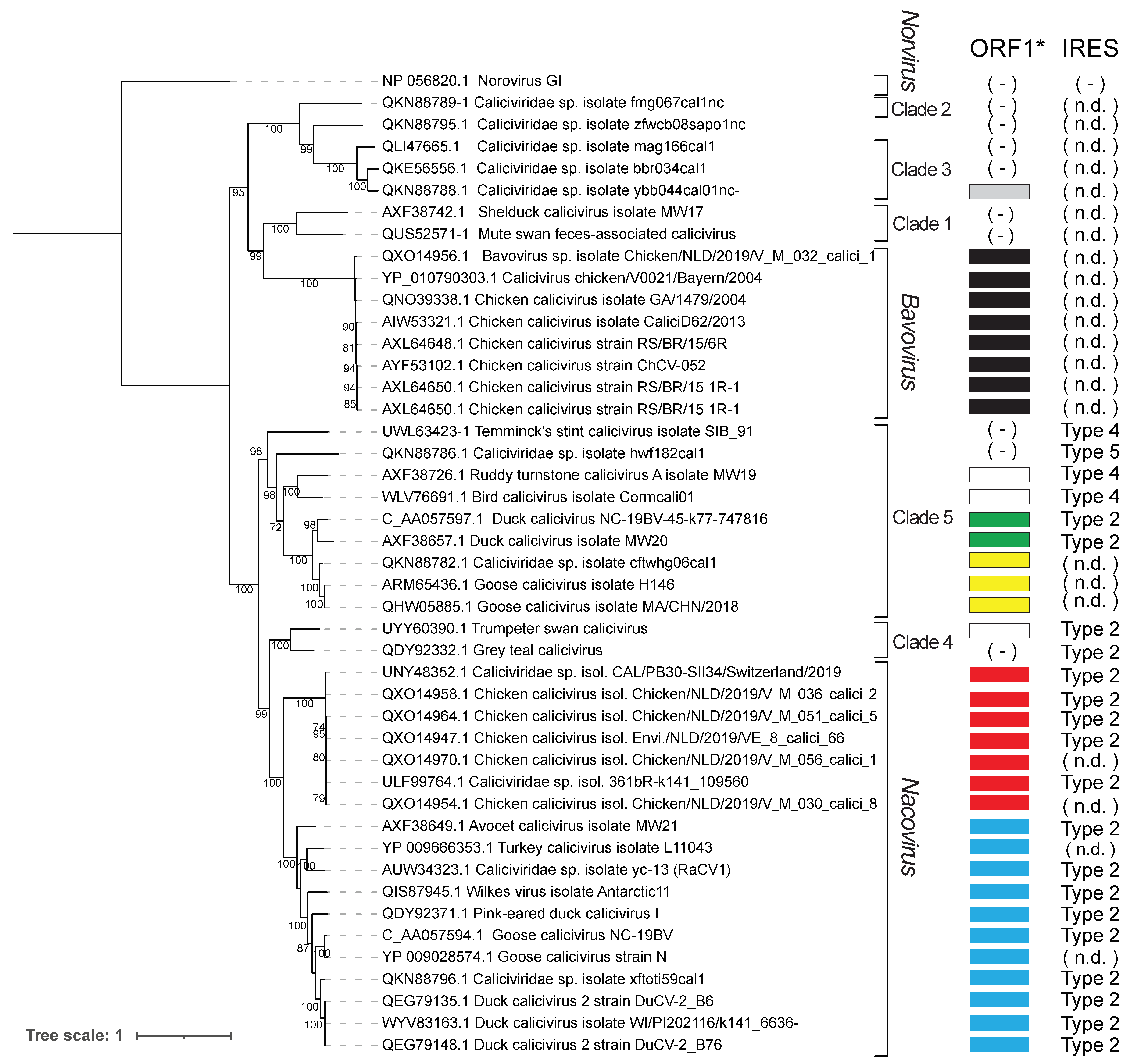 Viruses 16 01413 g002