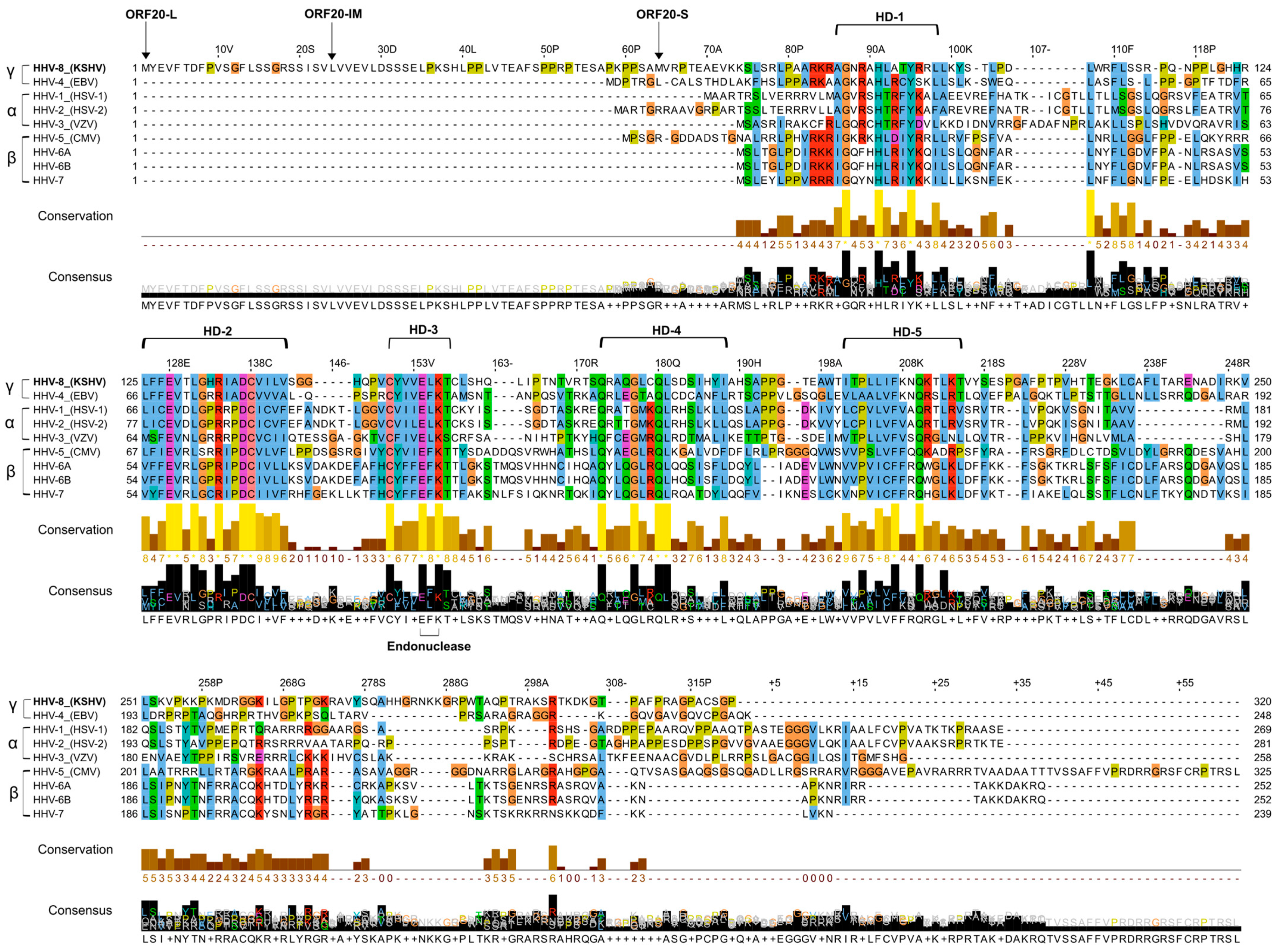 Viruses 16 01418 g001