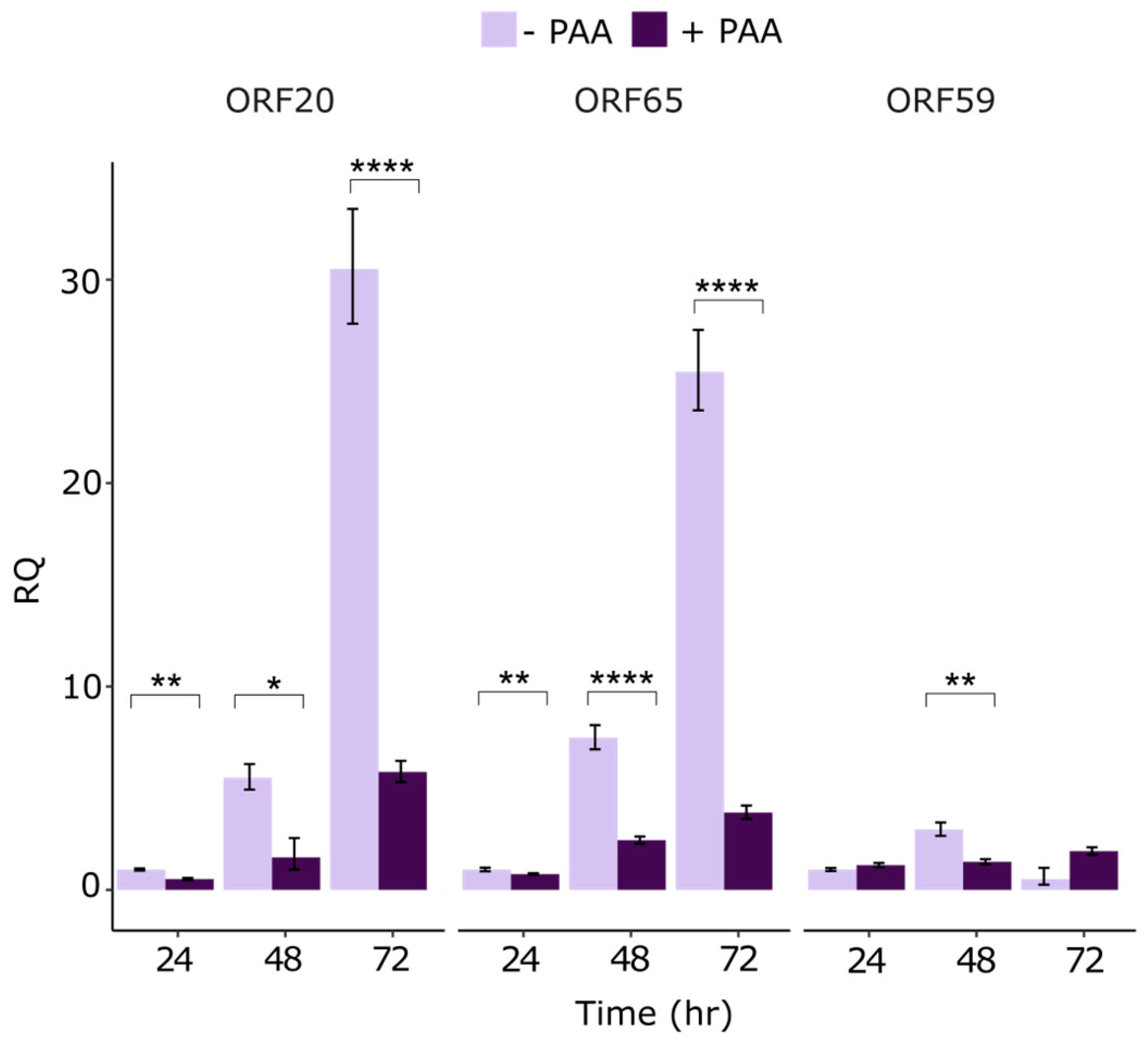 Viruses 16 01418 g002