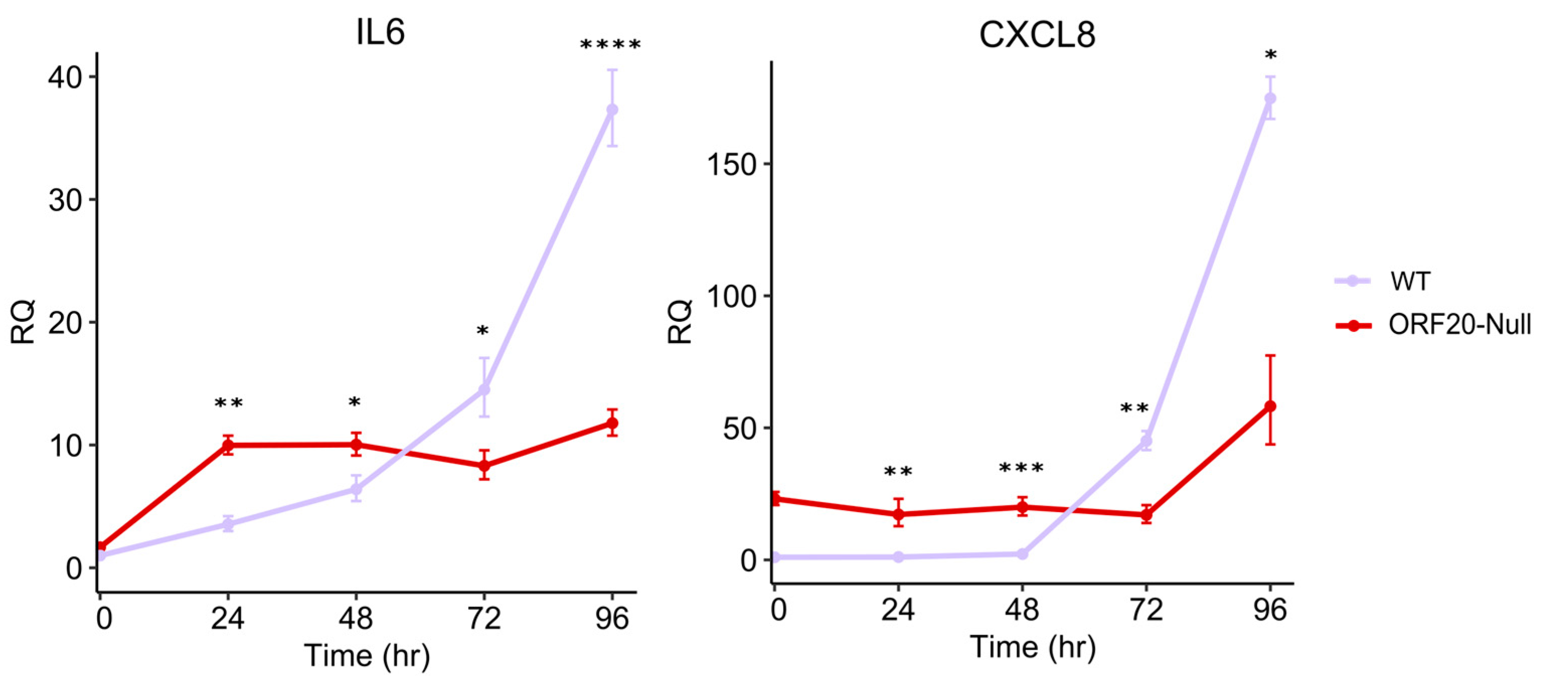 Viruses 16 01418 g007