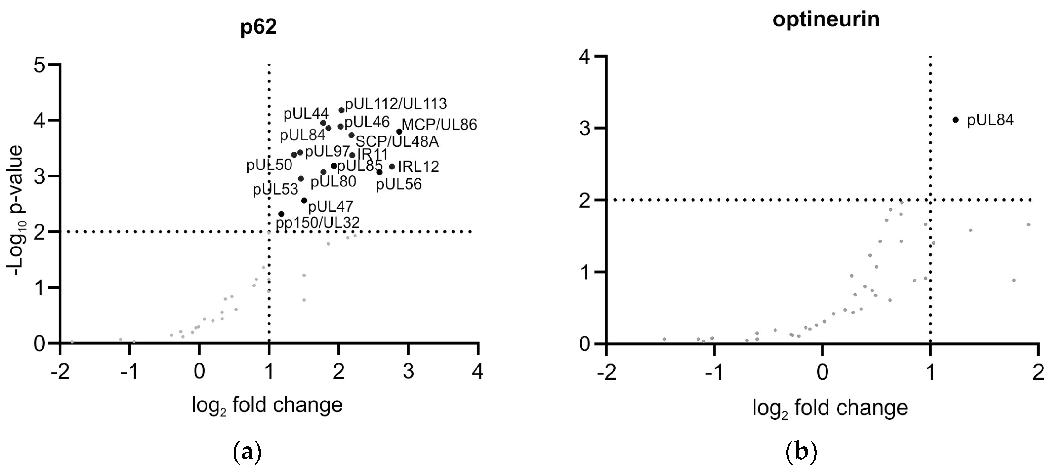 Viruses 16 01440 g002