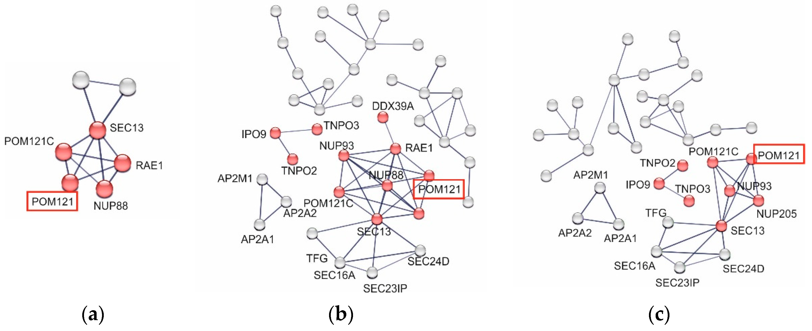 Viruses 16 01440 g007