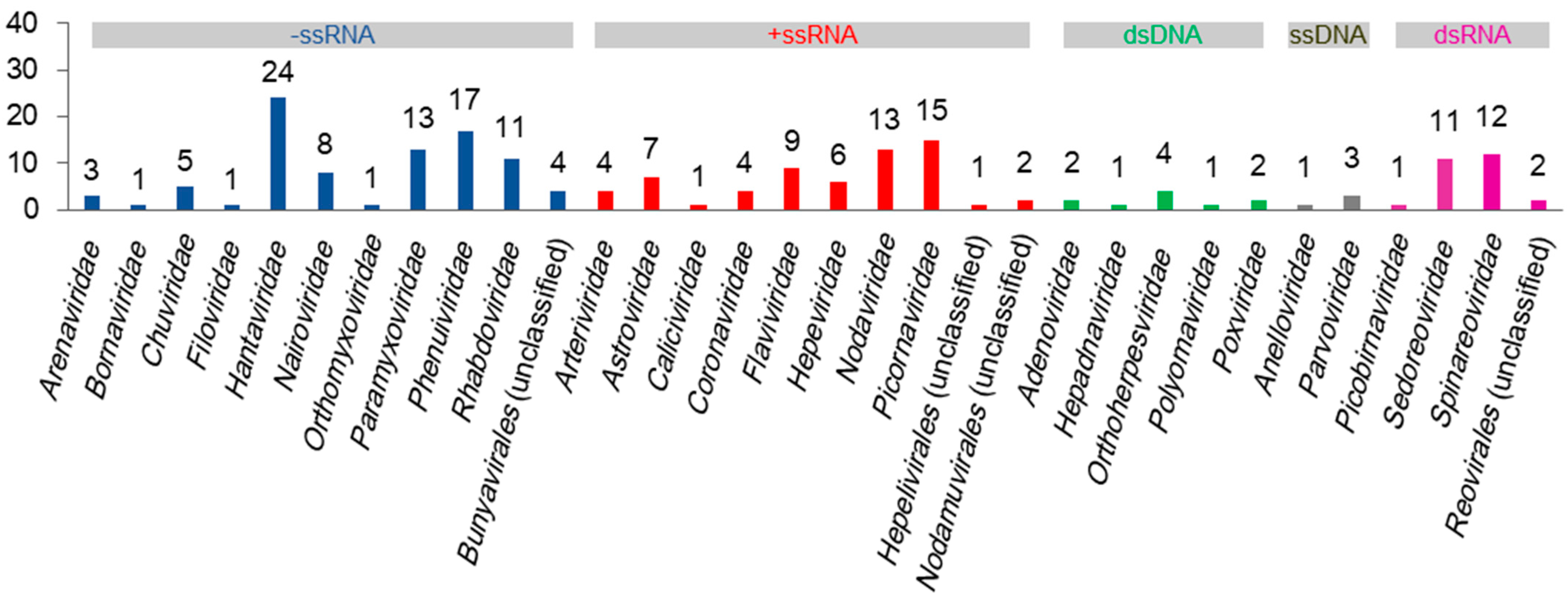 Viruses 16 01441 g001
