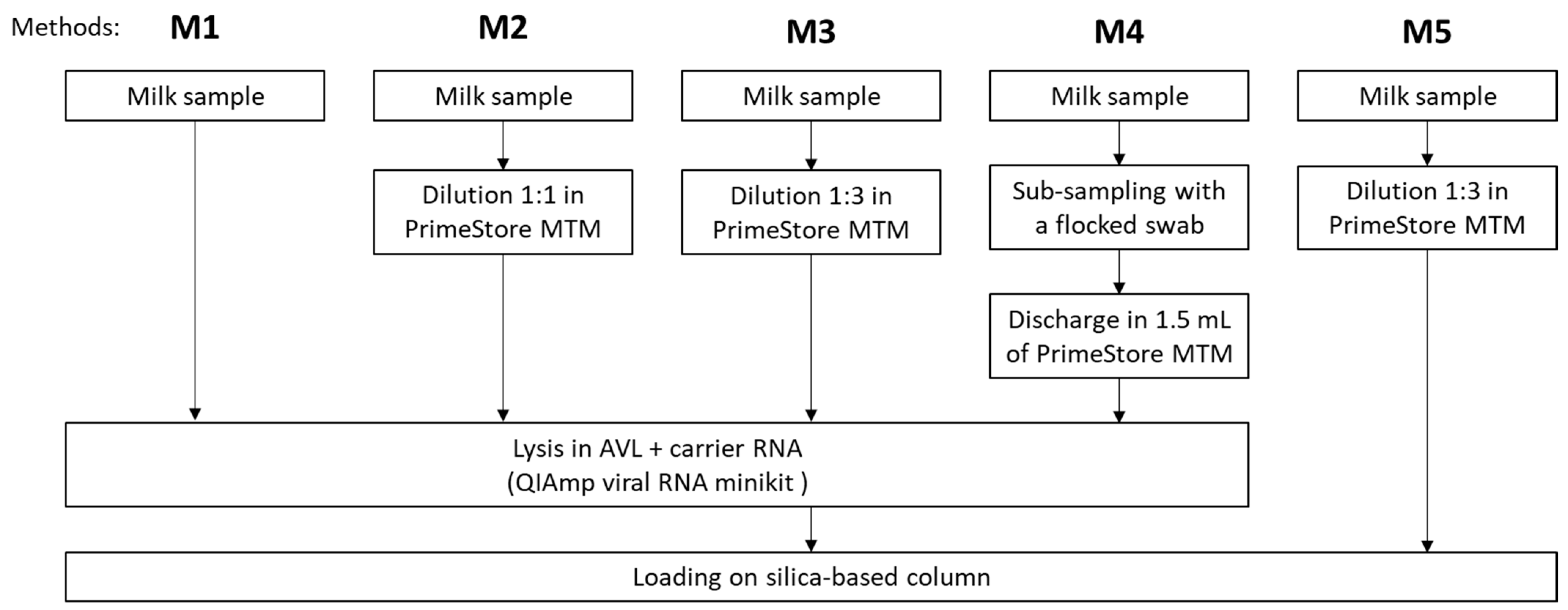 Viruses 16 01442 g001