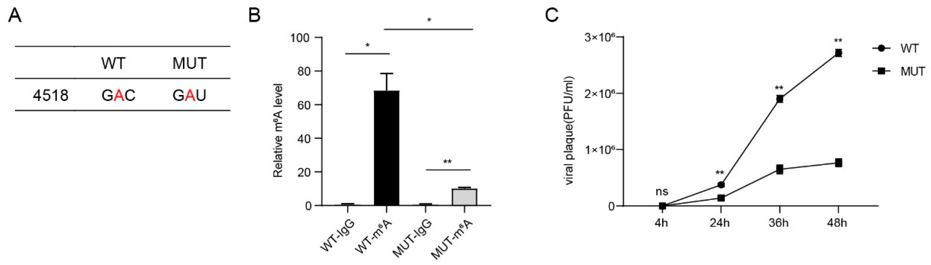 Viruses 16 01448 g006