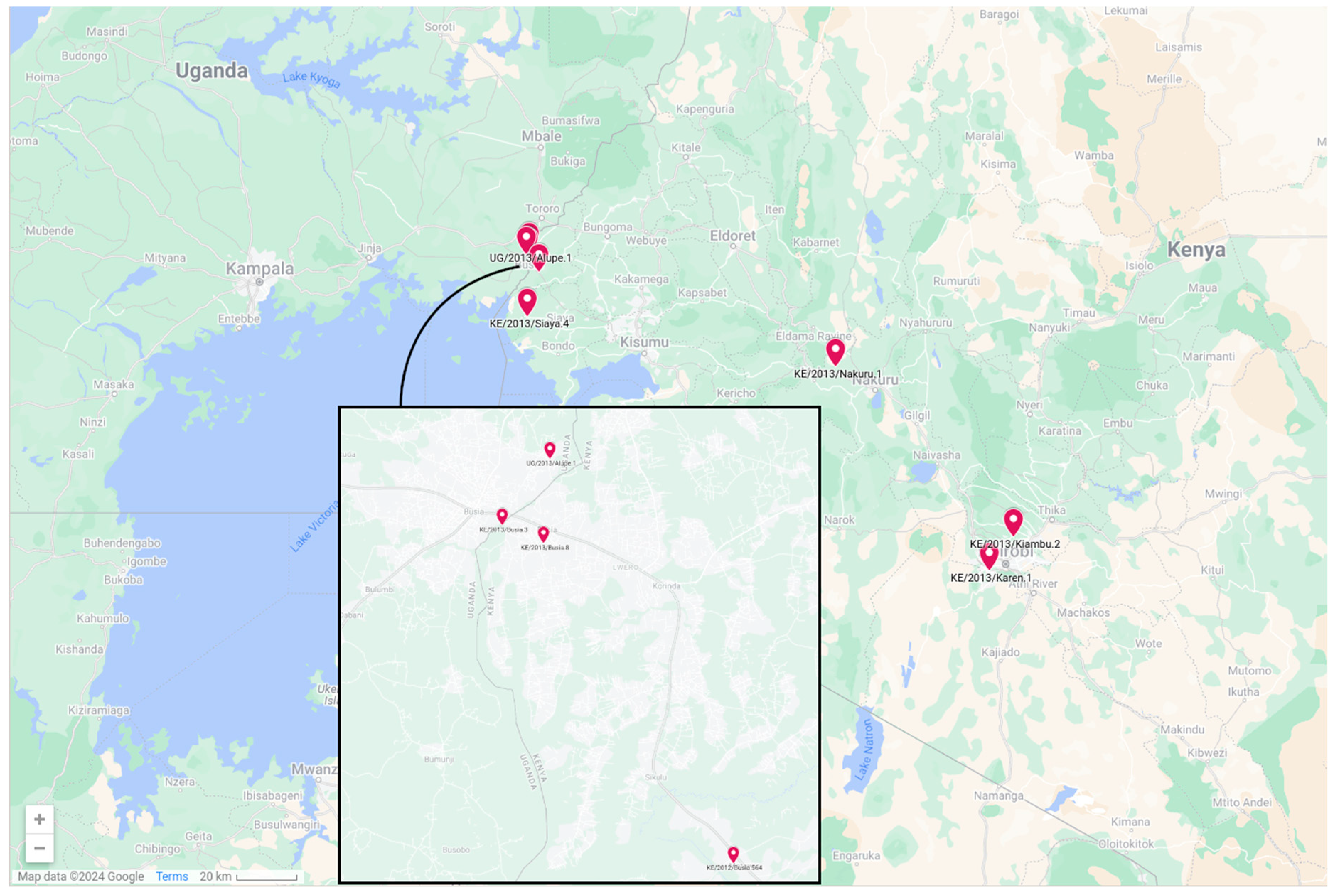 Viruses 16 01466 g001