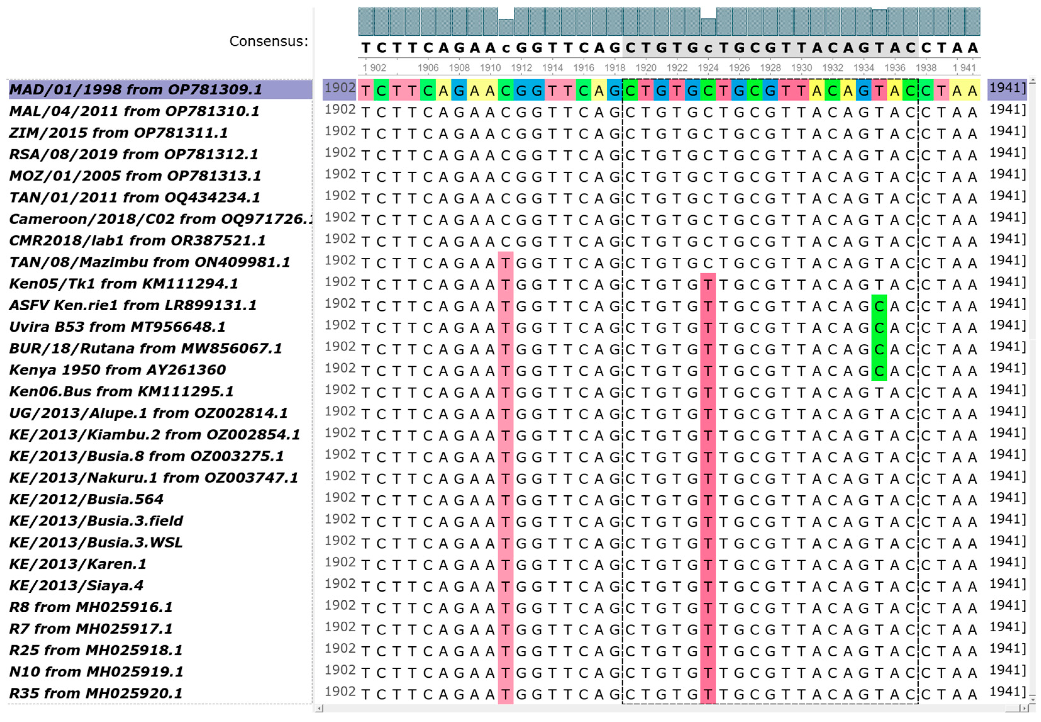 Viruses 16 01466 g004