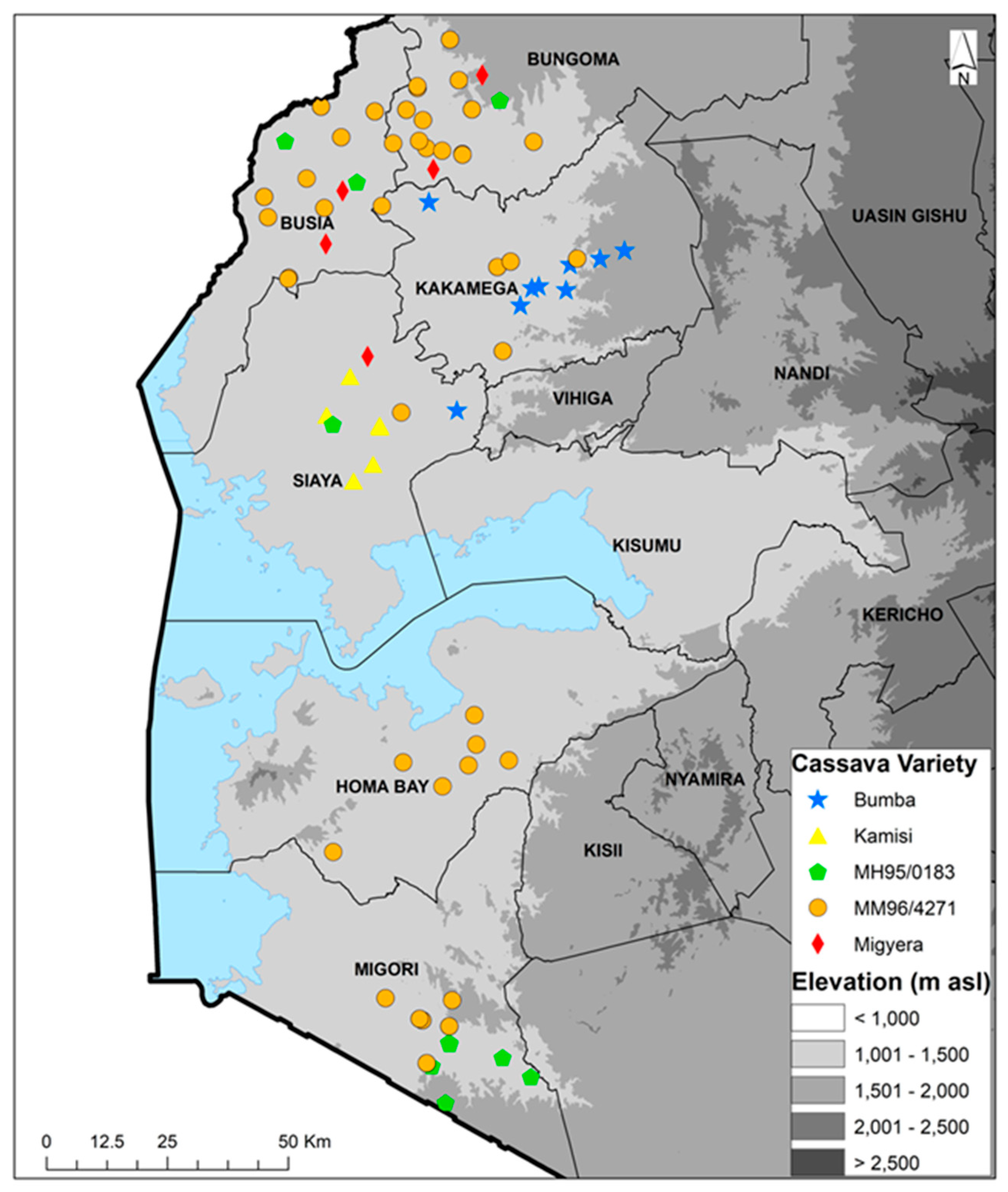 Viruses 16 01469 g001