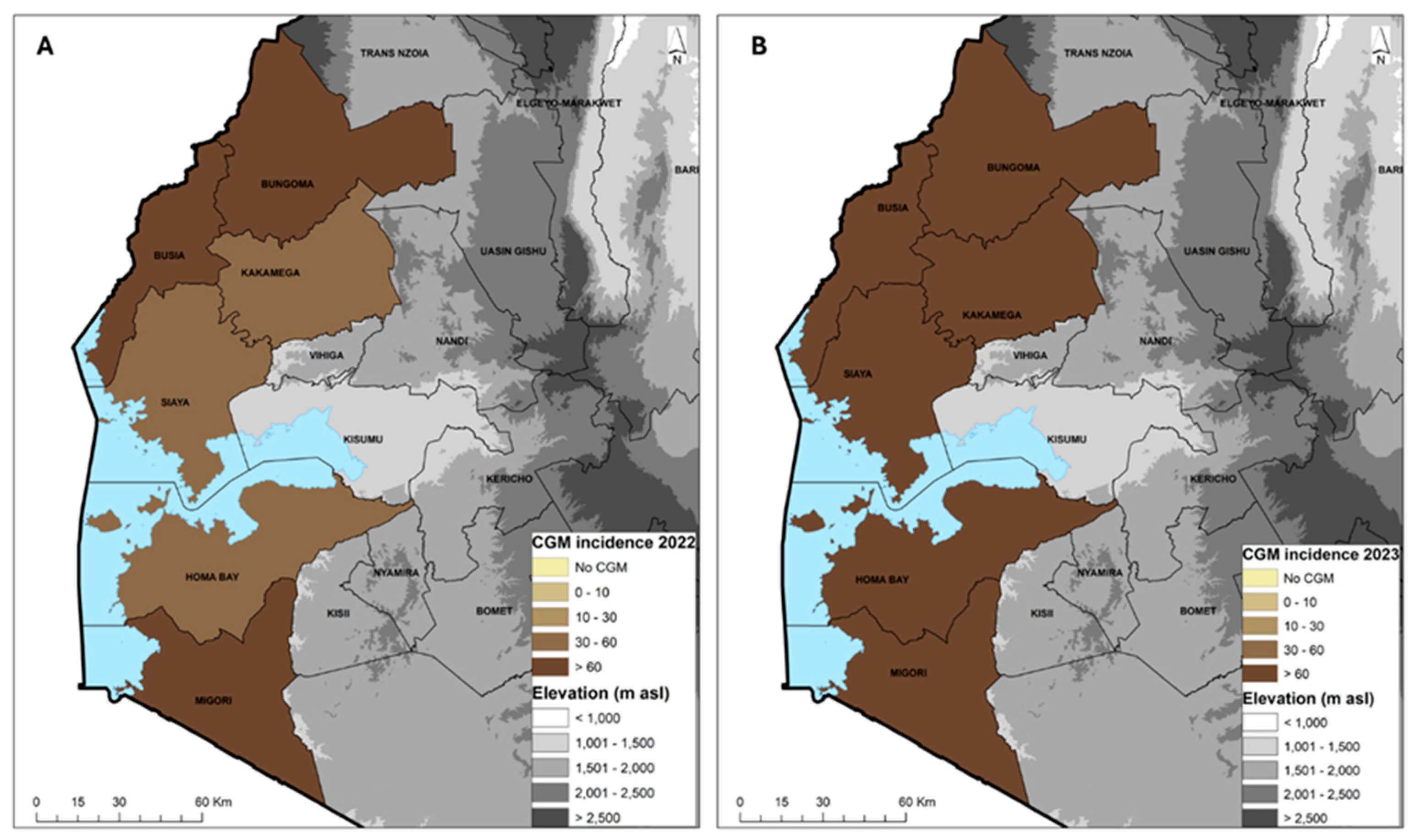 Viruses 16 01469 g004