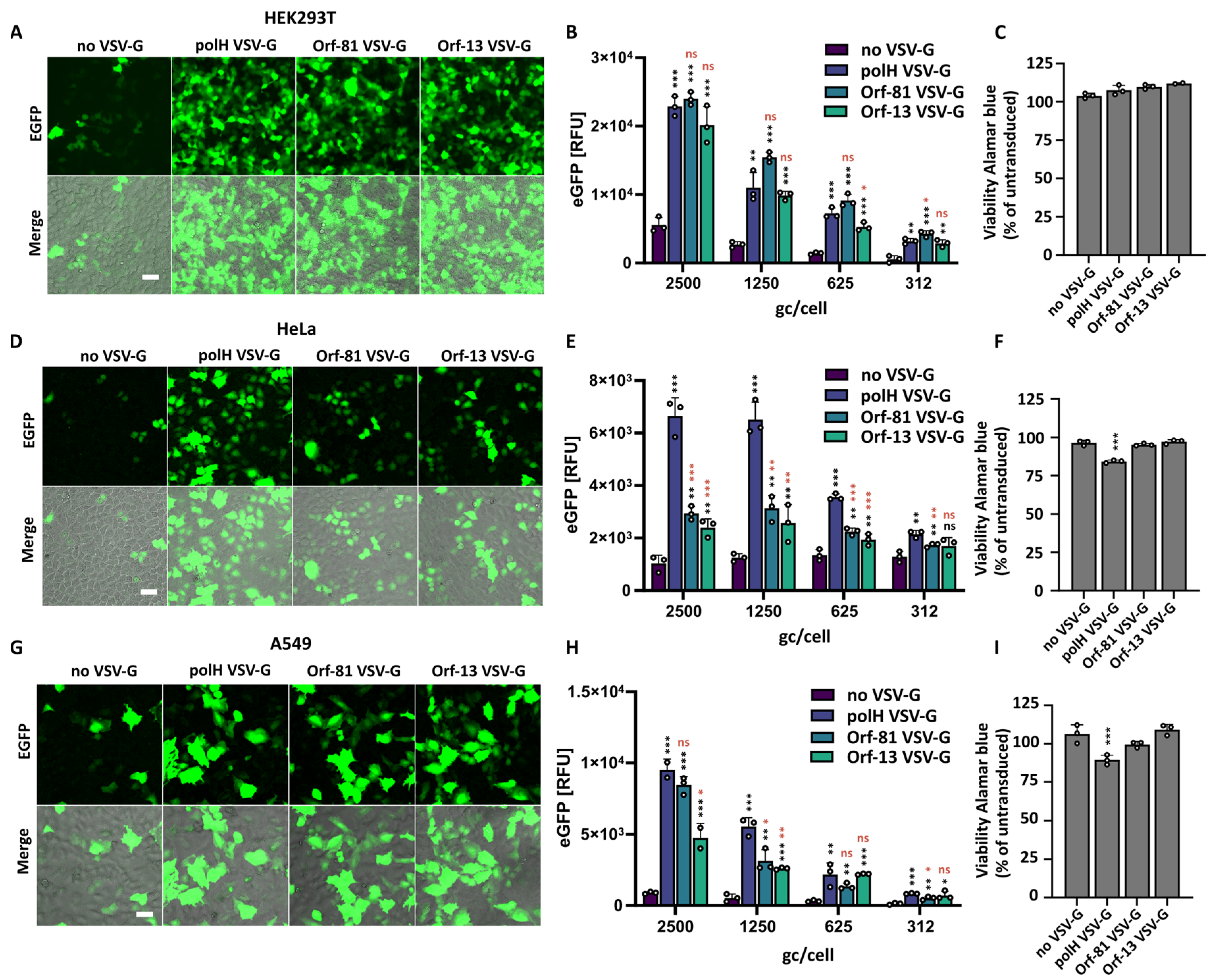 Viruses 16 01475 g004