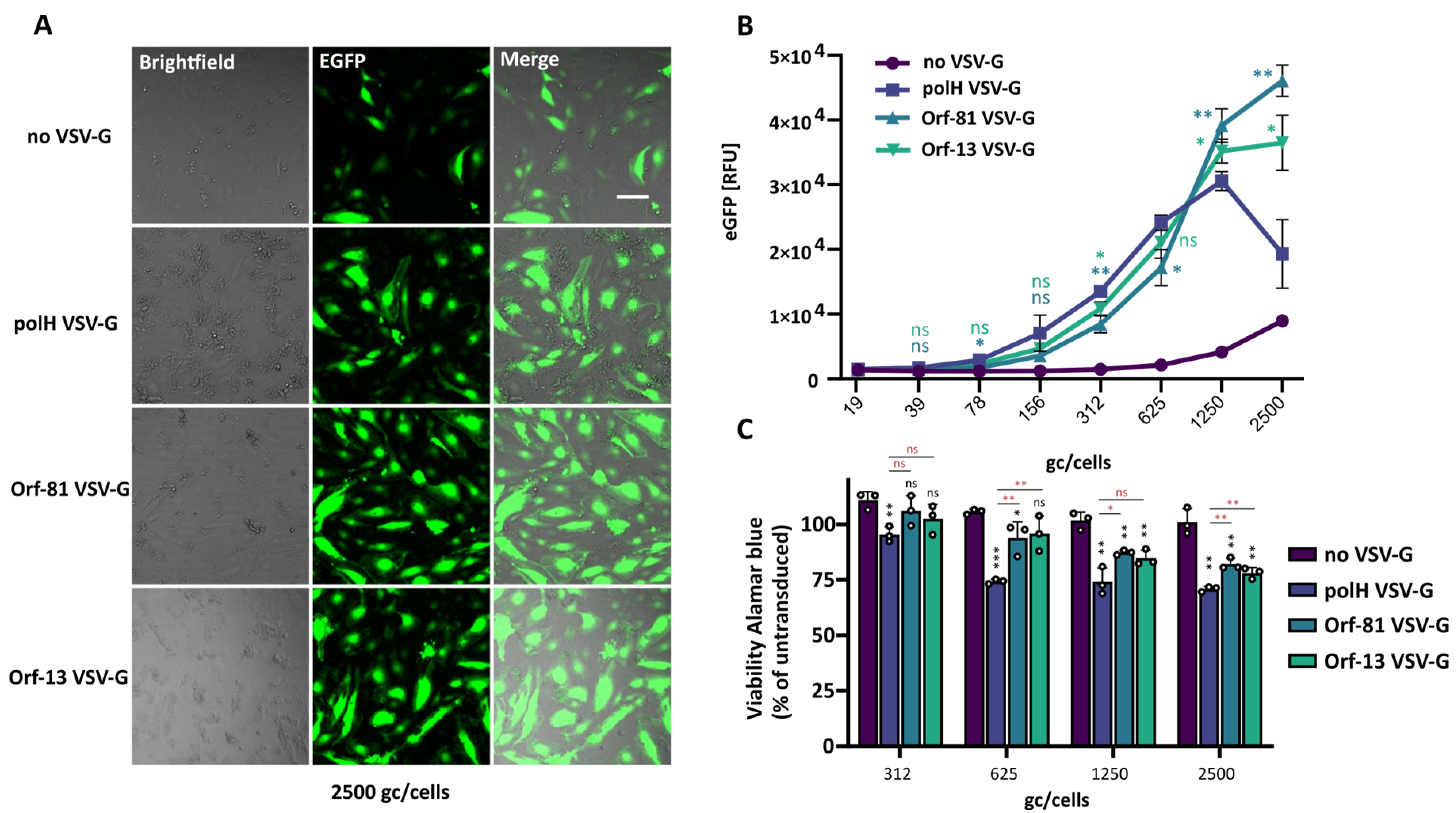 Viruses 16 01475 g005
