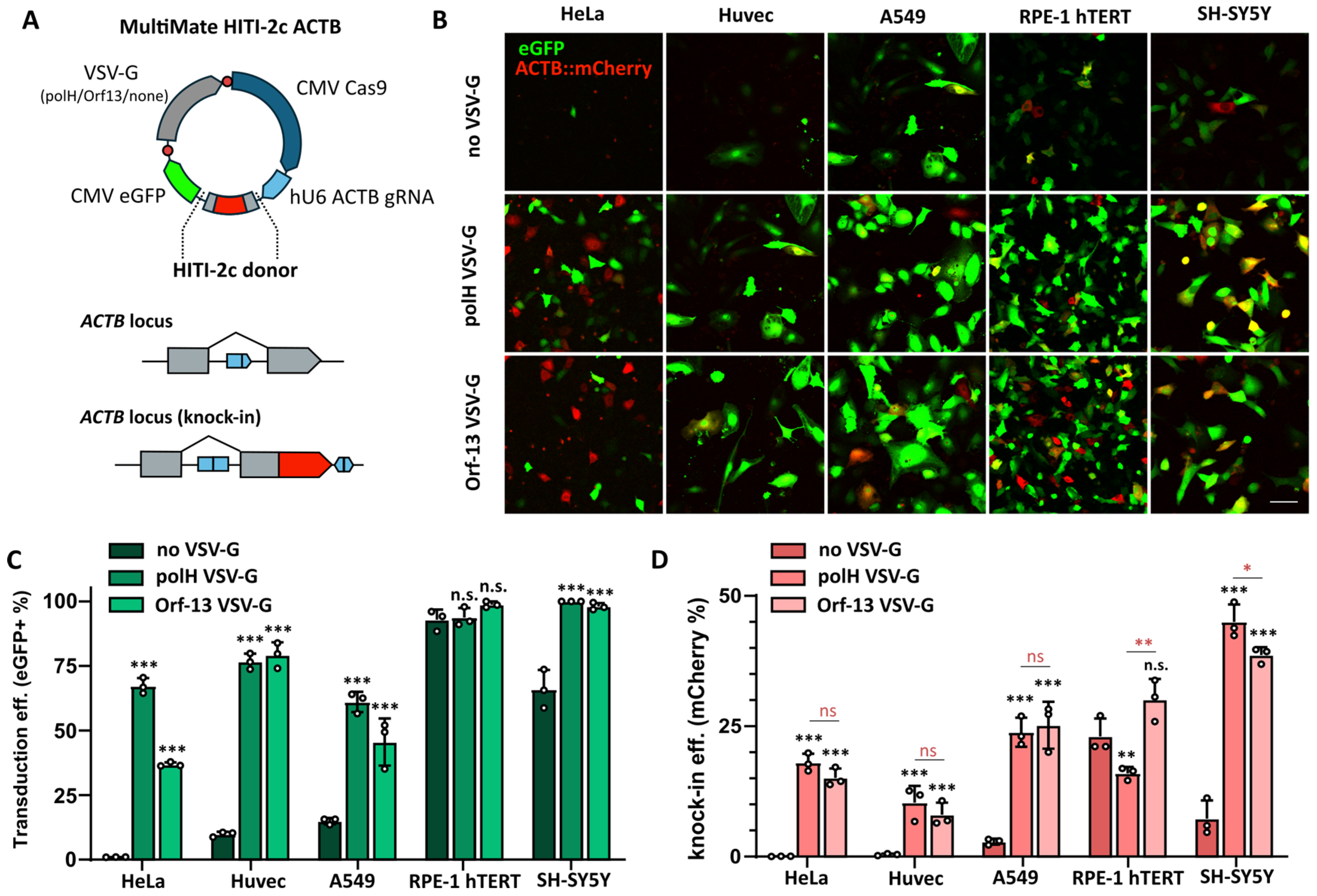 Viruses 16 01475 g006