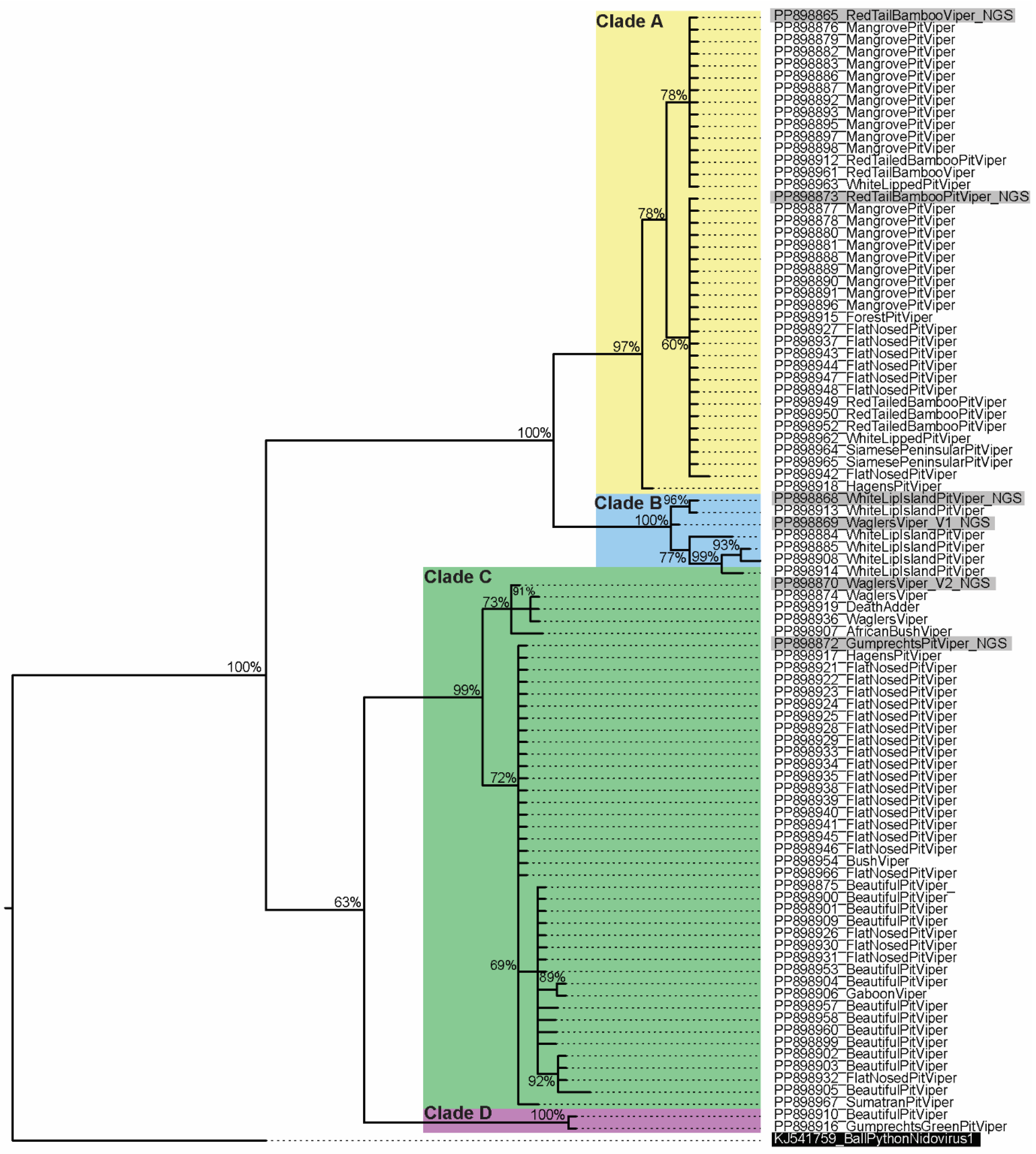Viruses 16 01477 g002 Viruses 16 01477 g002