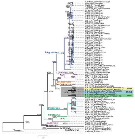 Viruses 16 01477 g004