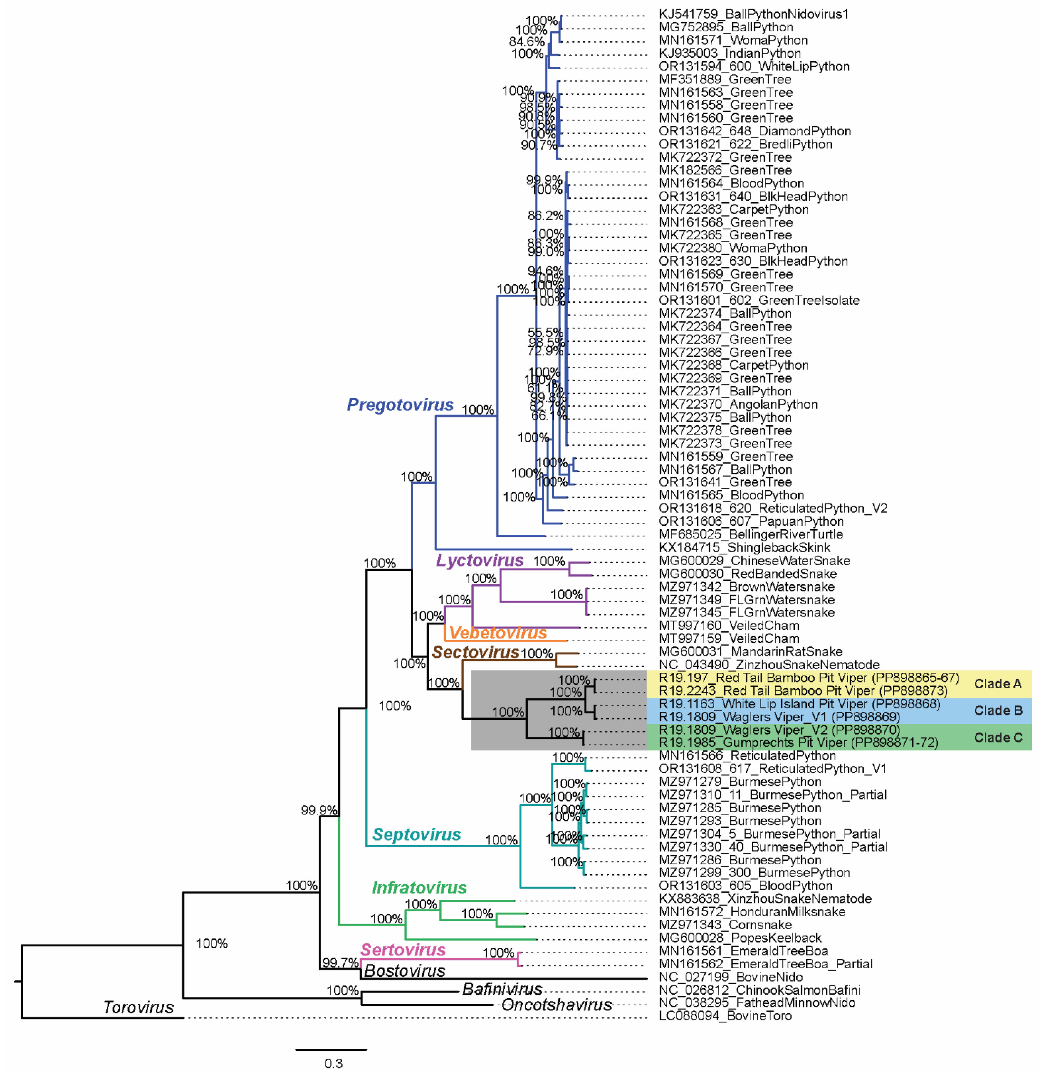 Viruses 16 01477 g004 Viruses 16 01477 g004