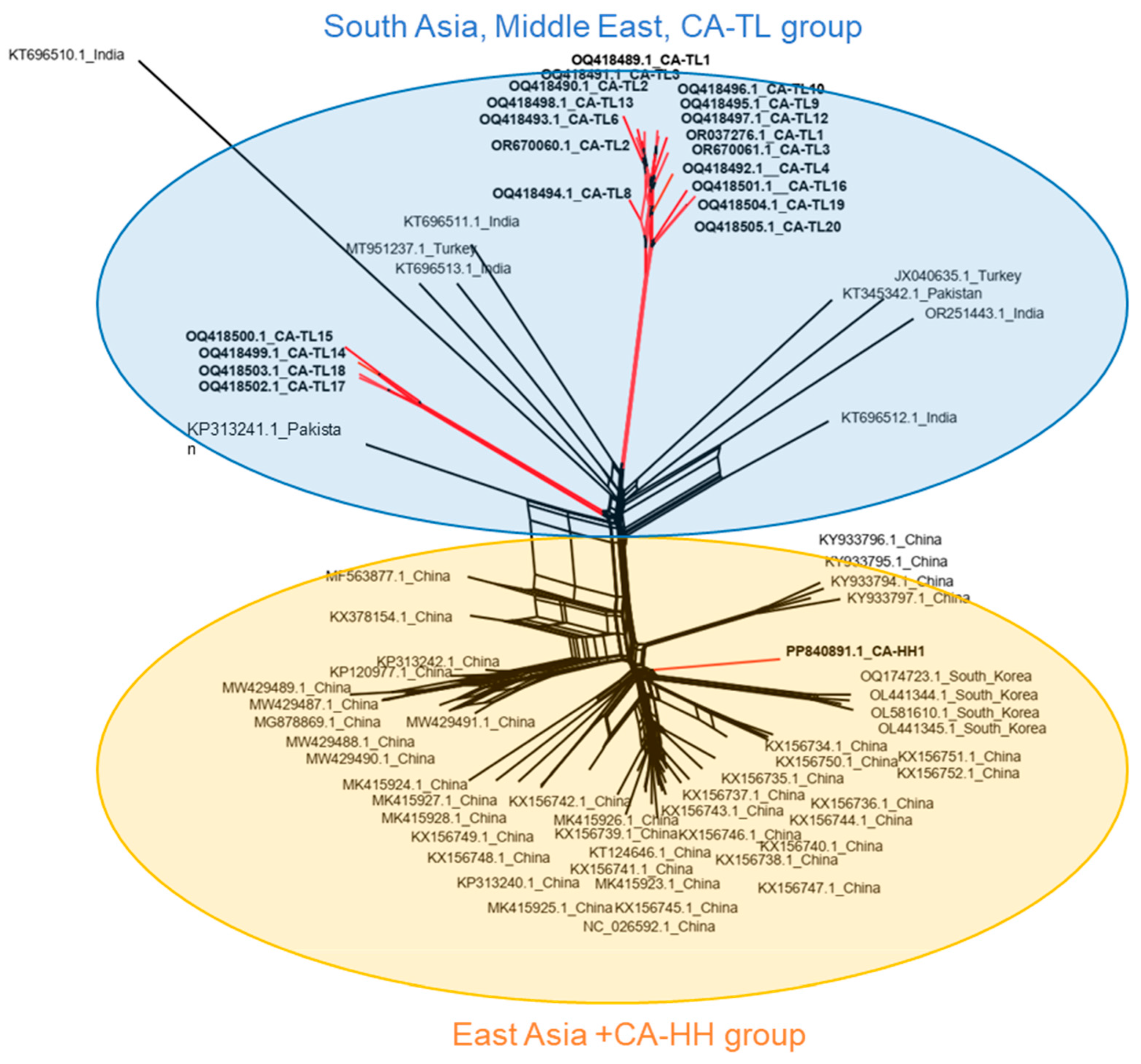 Viruses 16 01479 g002